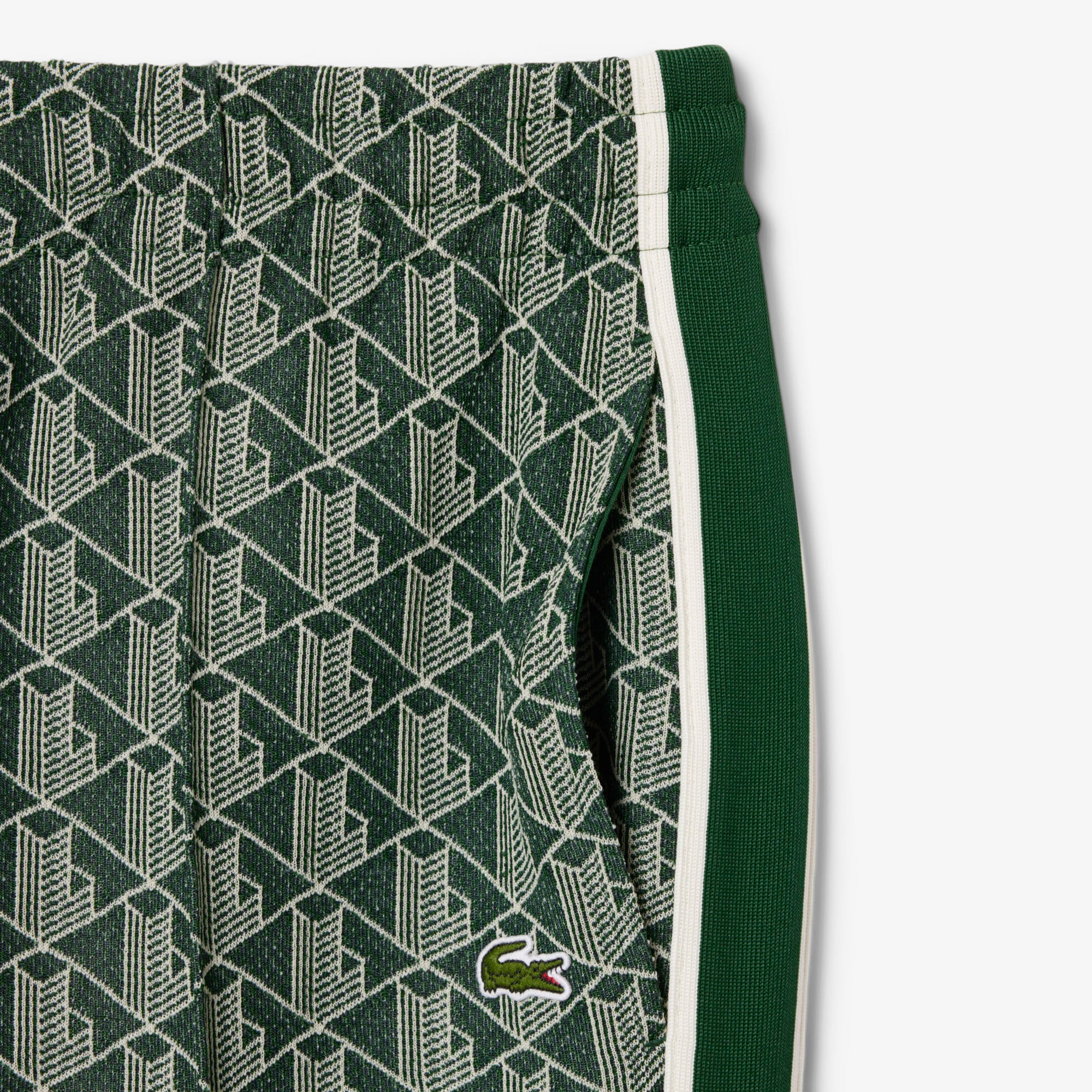 Lacoste Paris Erkek Regular Fit Monogram Yeşil Eşofman Altı görsel 6