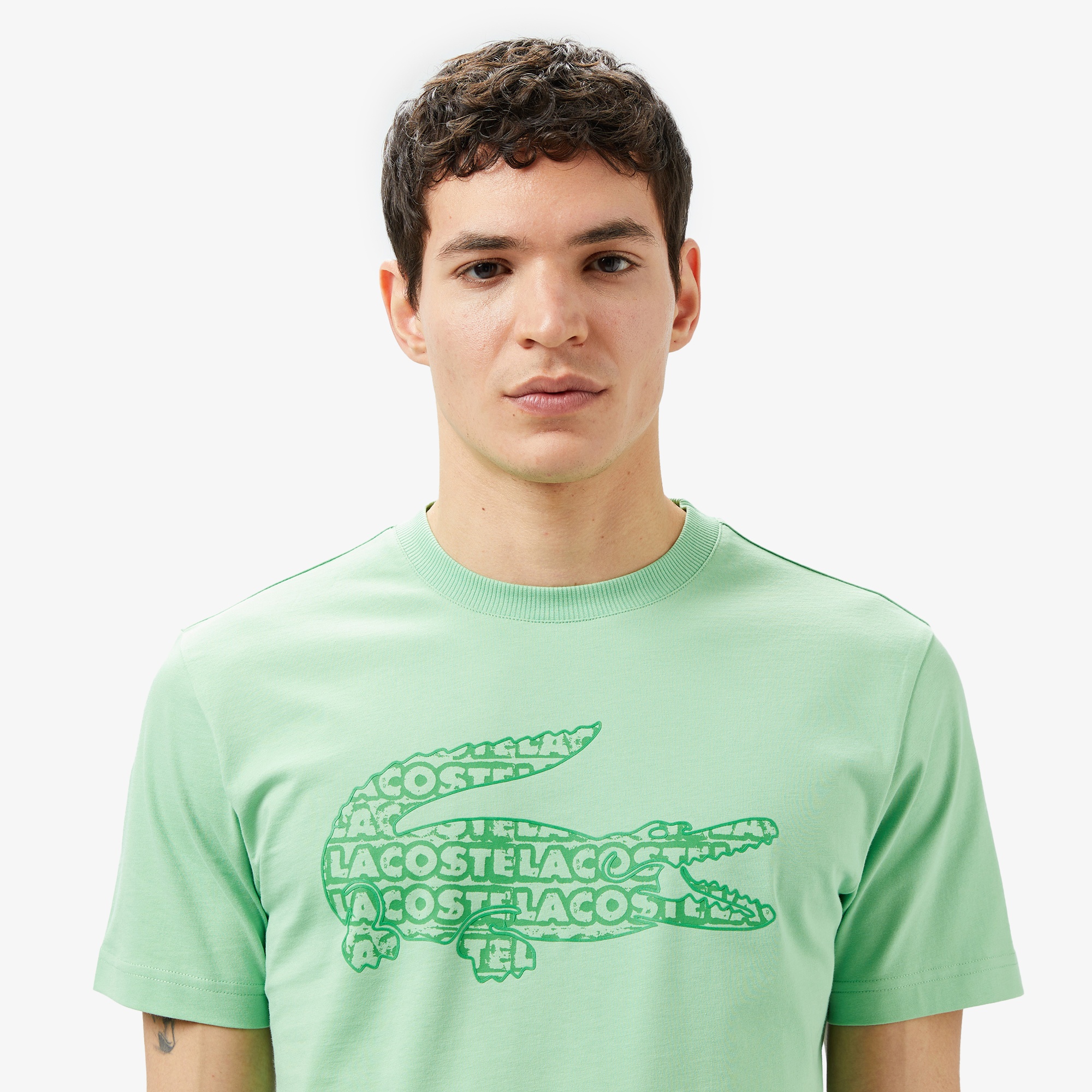 Lacoste Erkek Regular Fit Bisiklet Yaka Baskılı Açık Yeşil T-Shirt