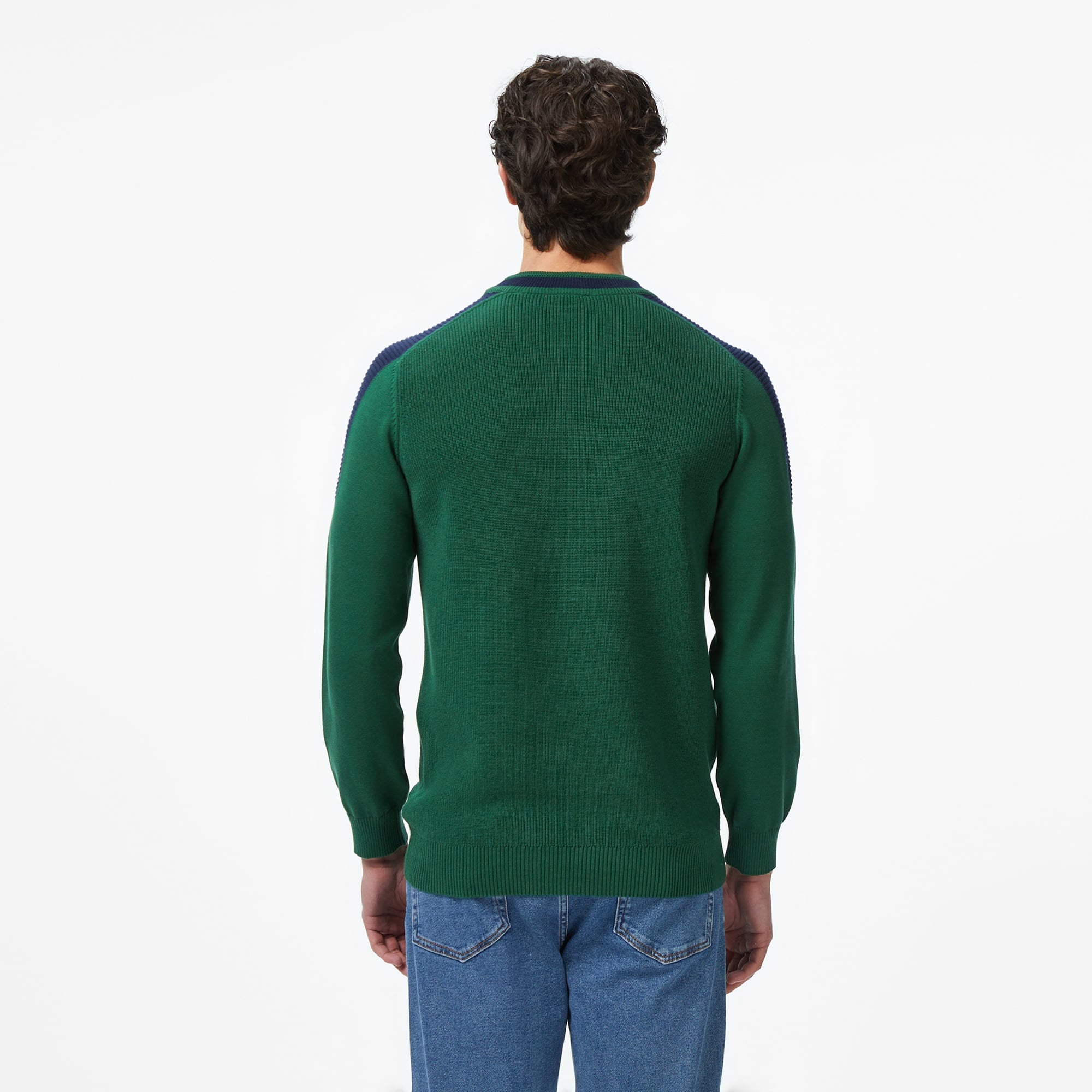 Erkek Classic Fit Bisiklet Yaka Renk Bloklu Yeşil Kazak