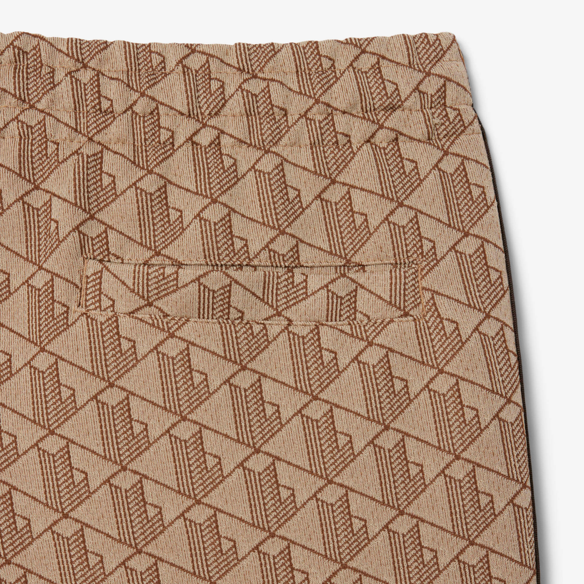 Lacoste Paris Erkek Regular Fit Monogram Açık Kahverengi Eşofman Altı görsel 8