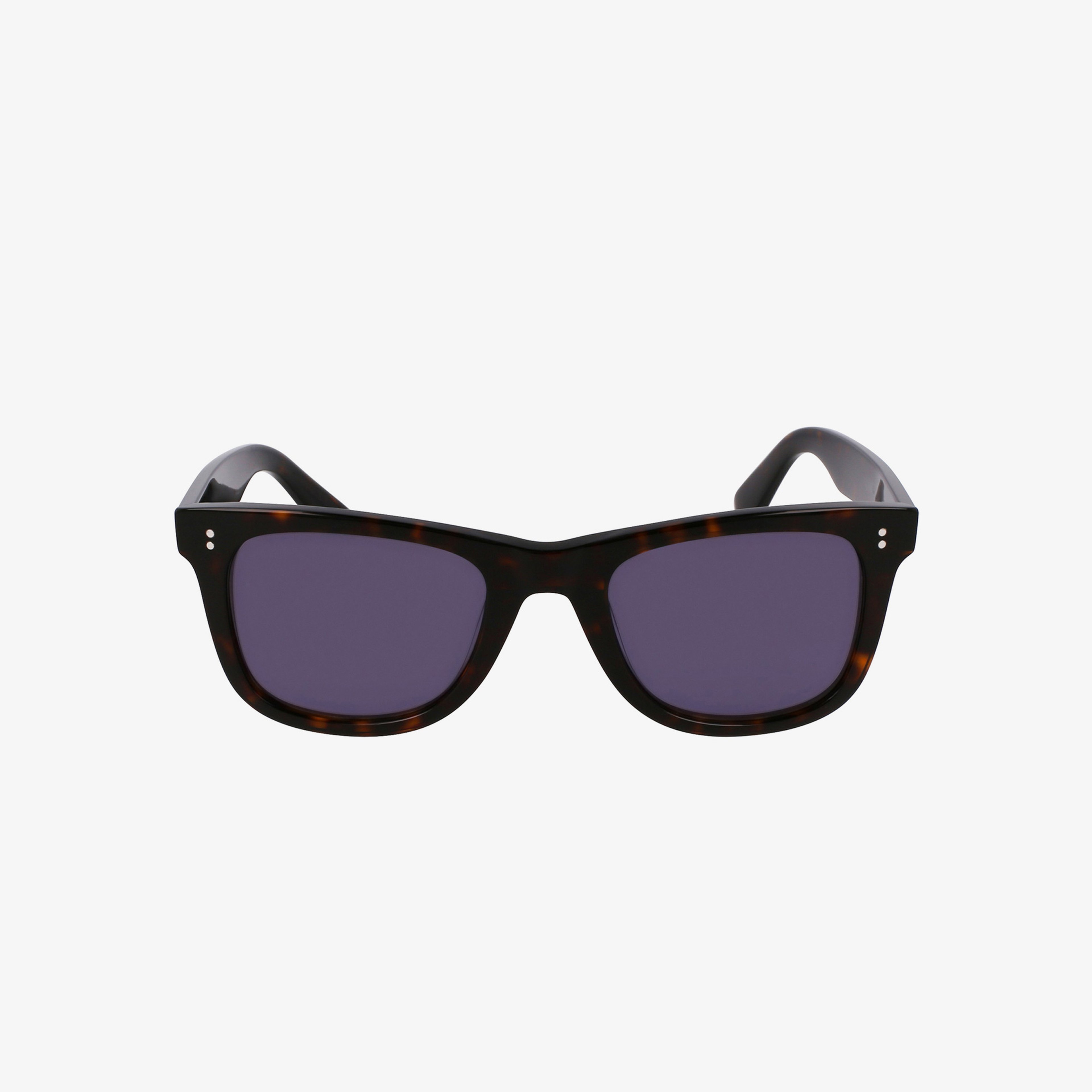 Unisex Kahverengi Güneş Gözlüğü