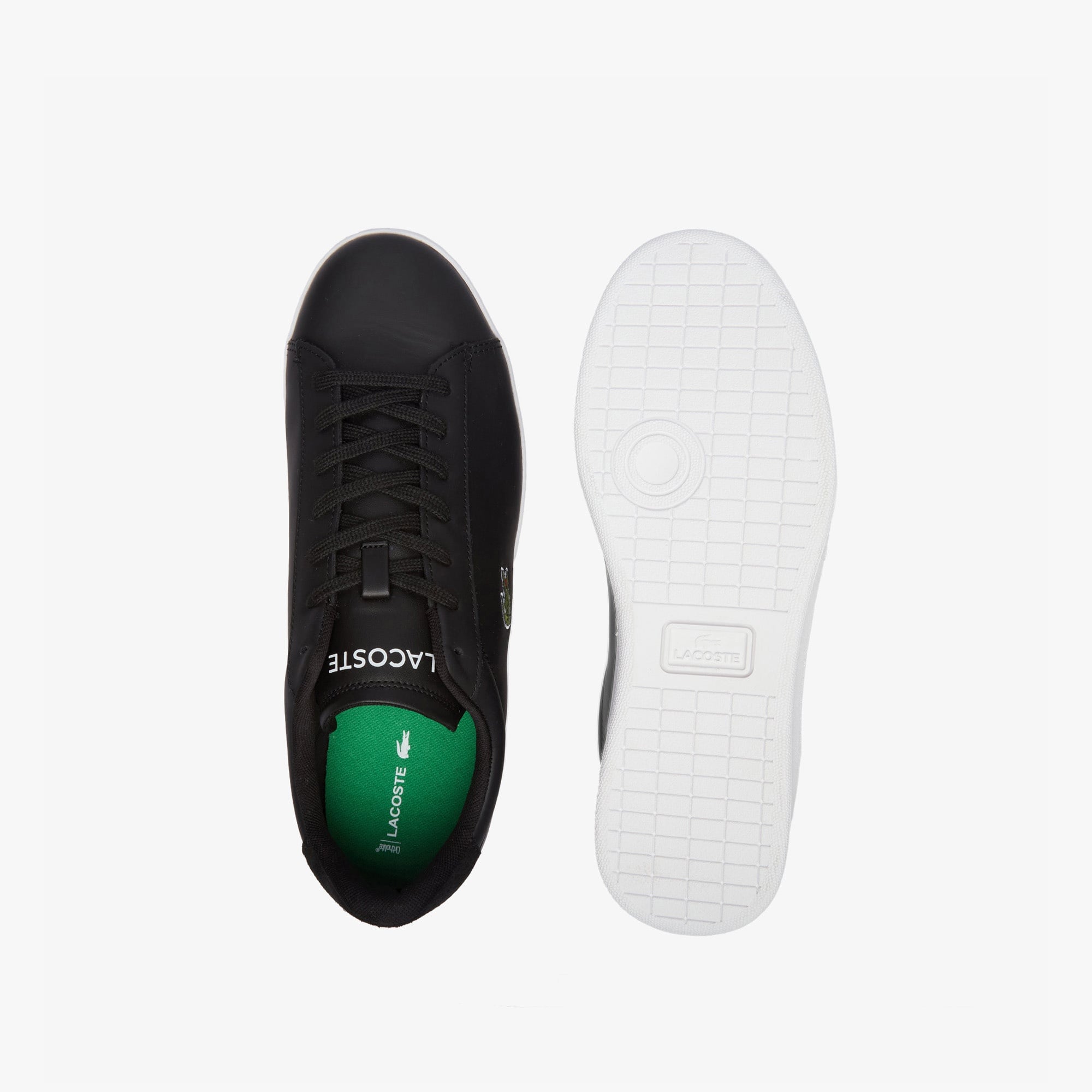 Lacoste Carnaby Erkek Siyah Sneaker