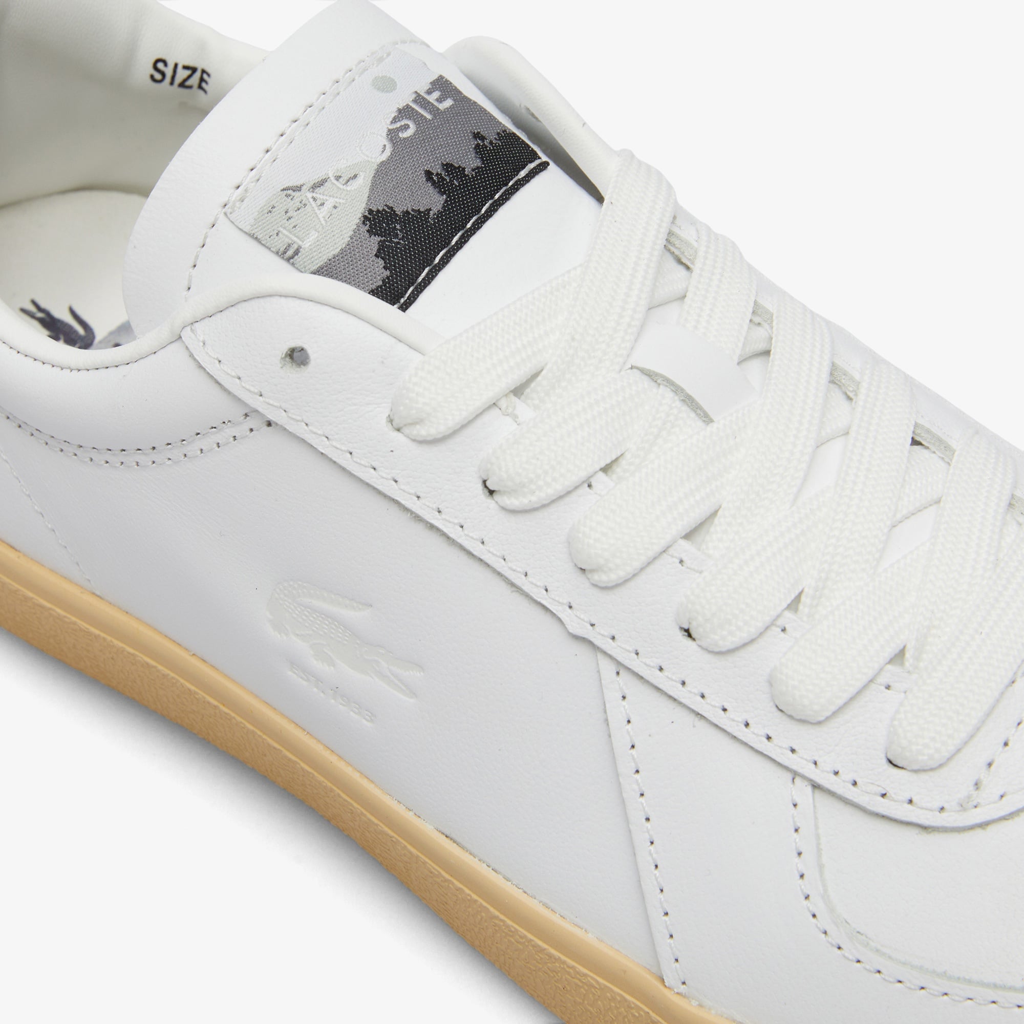 Baseshot Pro Beyaz Kadın Sneaker