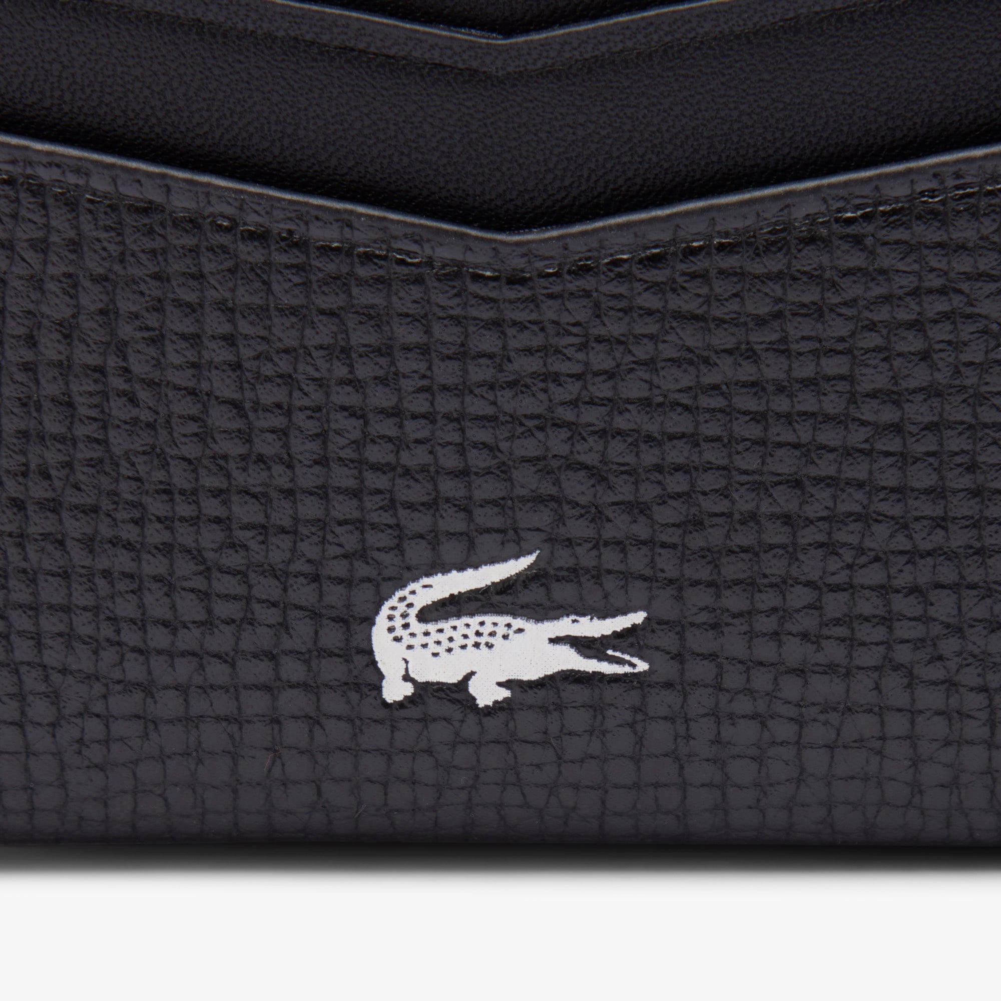 Erkek Siyah Kartlık