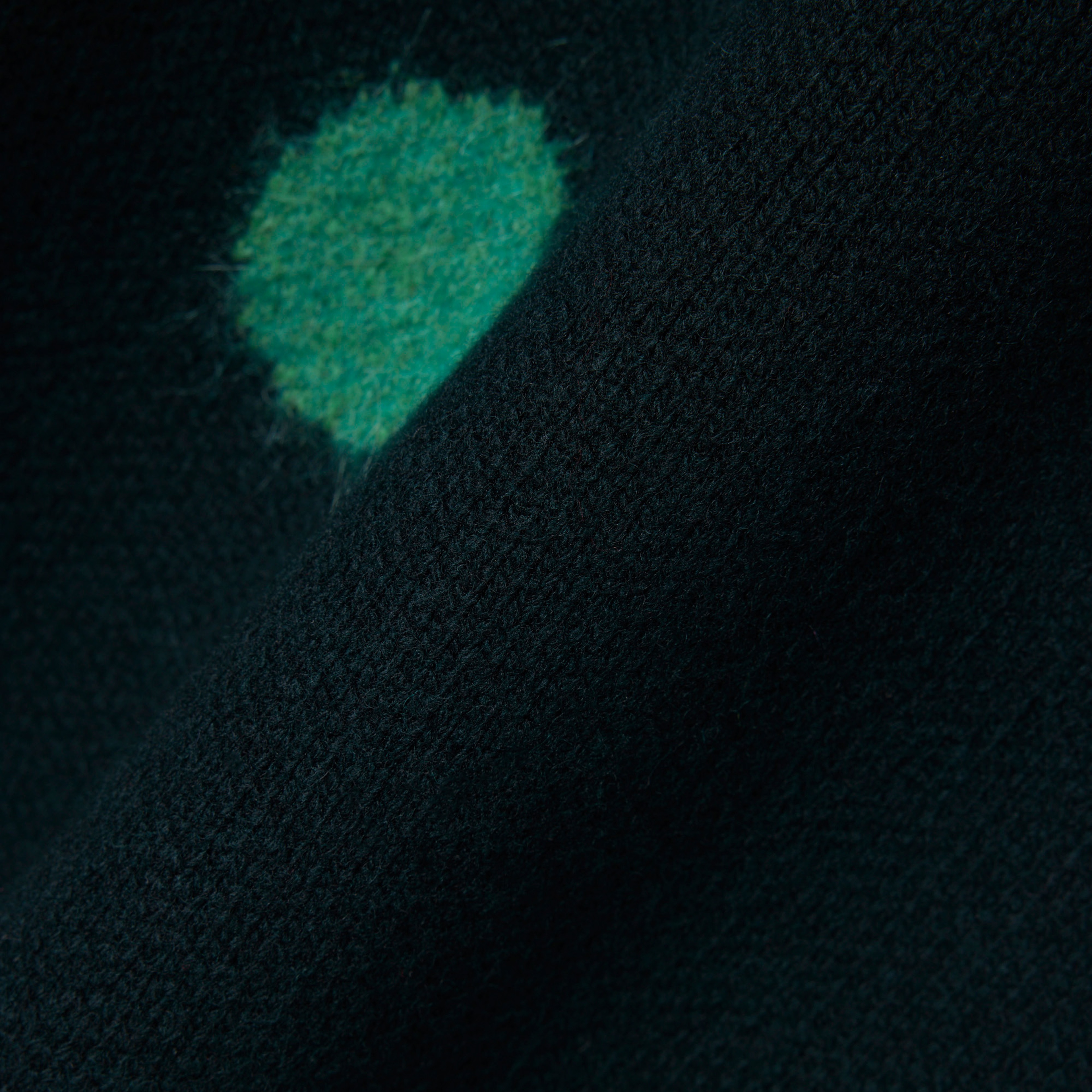 FW25 RUNWAY Erkek Loose Fit Bisiklet Yaka Baskılı Yeşil Kazak