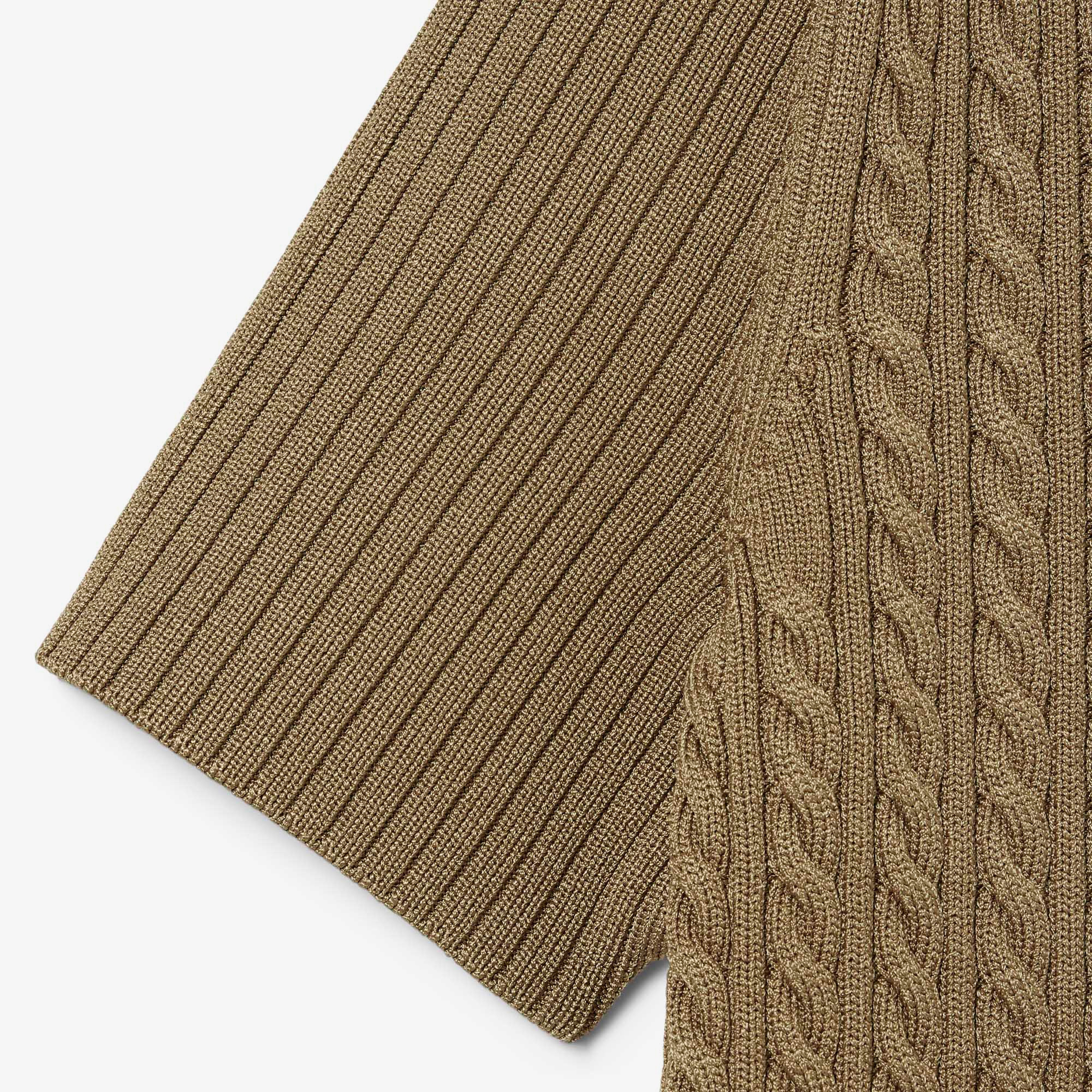 FW25 RUNWAY Erkek Slim Fit Kısa Kollu Bisiklet Yaka Kahverengi Triko