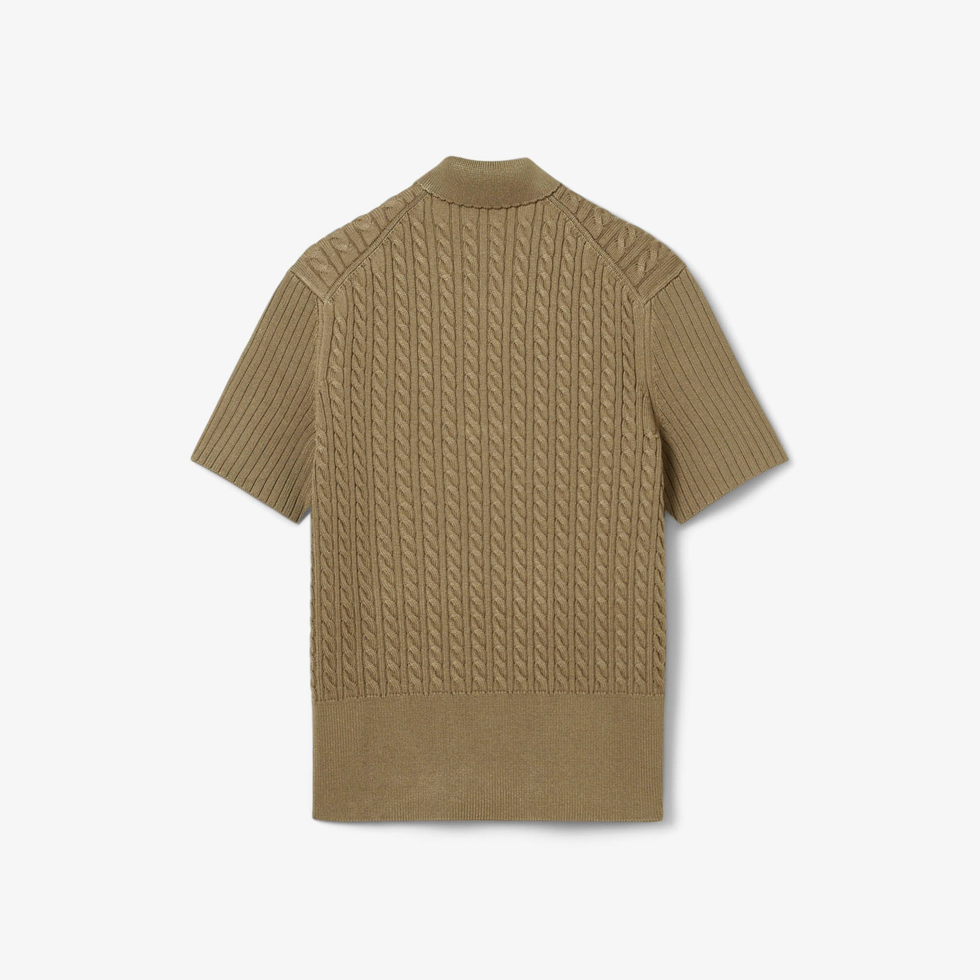 FW25 RUNWAY Erkek Slim Fit Kısa Kollu Bisiklet Yaka Kahverengi Triko