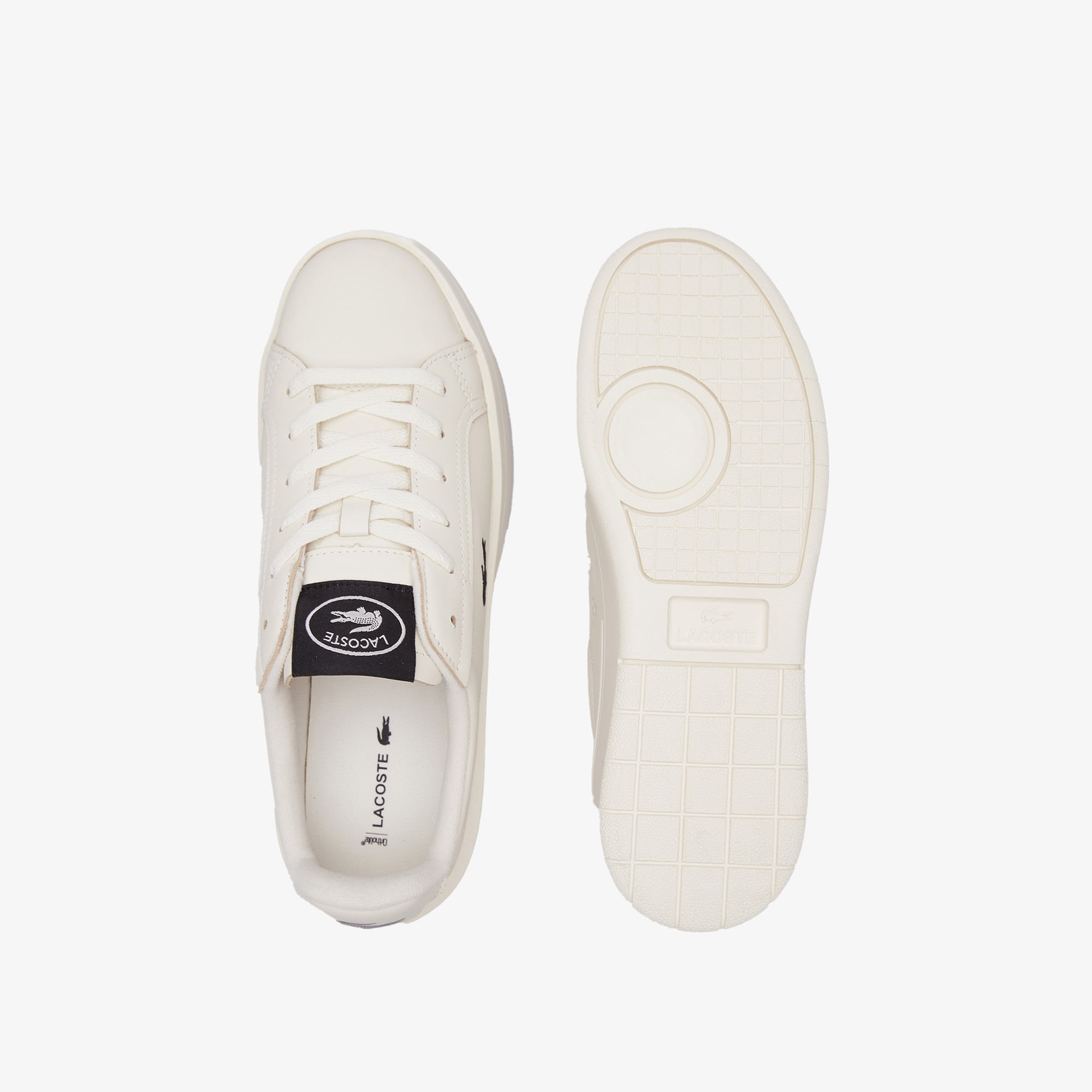 Carnaby Platform Kadın Krem Sneaker