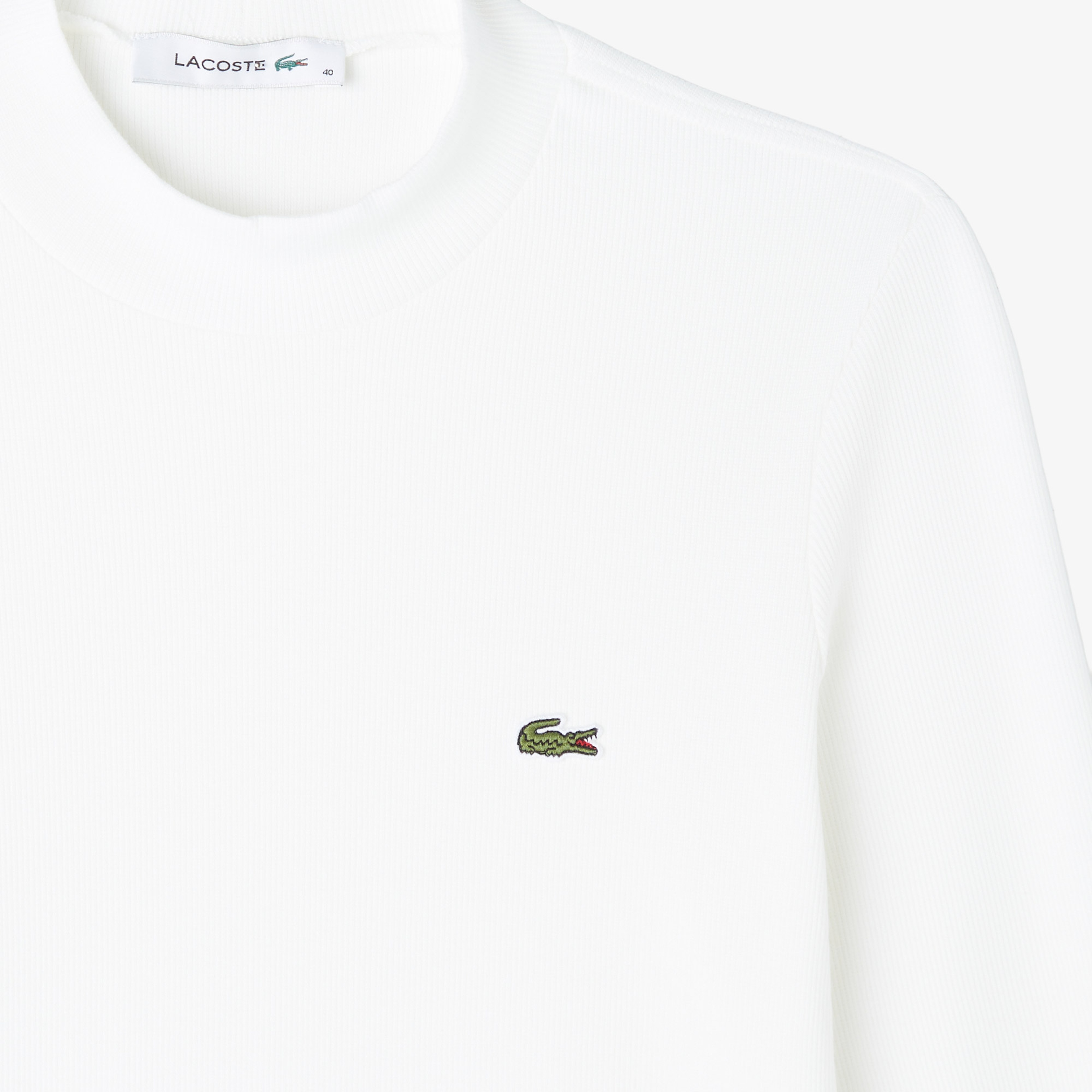 Kadın Slim Fit Uzun Kollu Bisiklet Yaka Beyaz T-Shirt