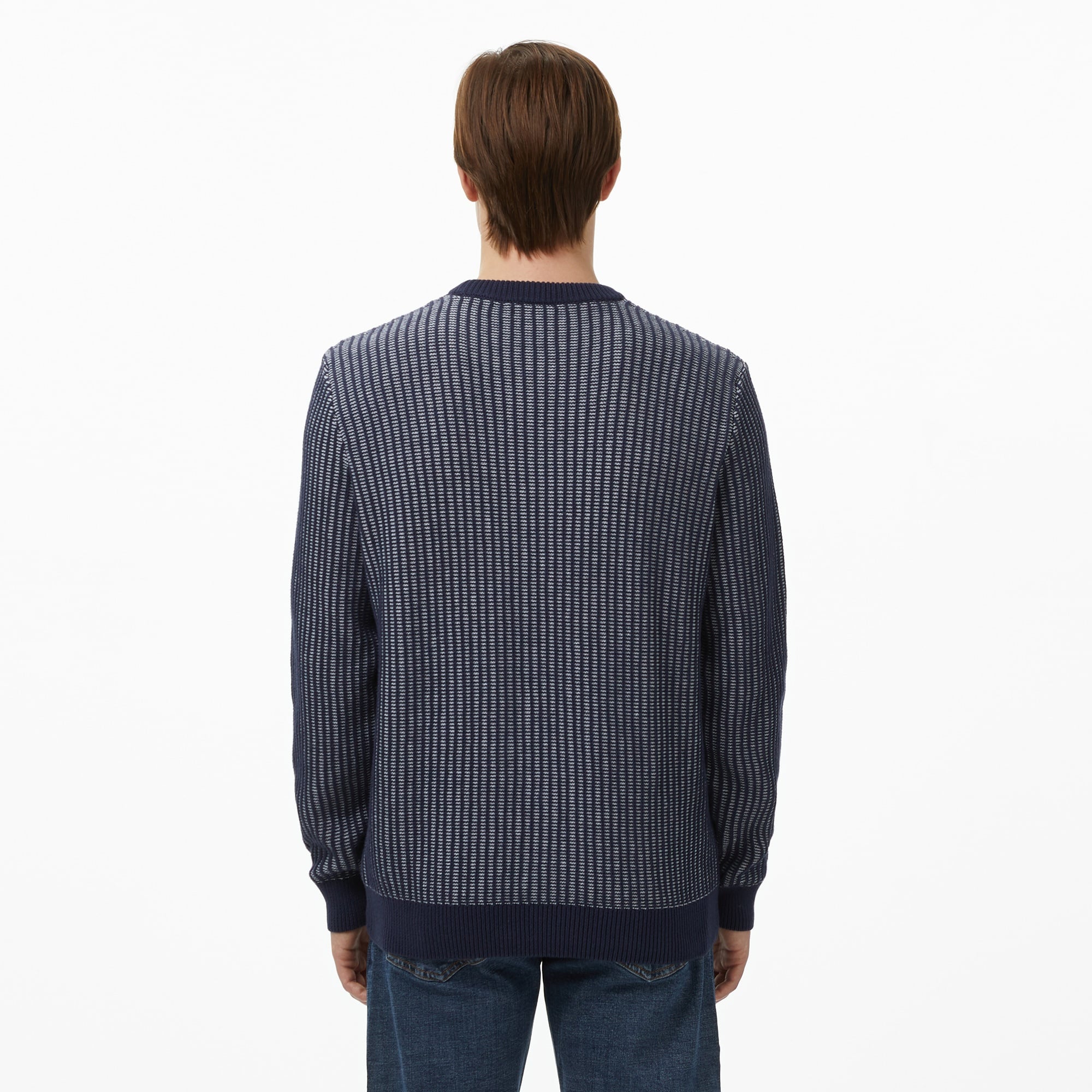 Erkek Classic Fit Bisiklet Yaka Desenli Lacivert Kazak