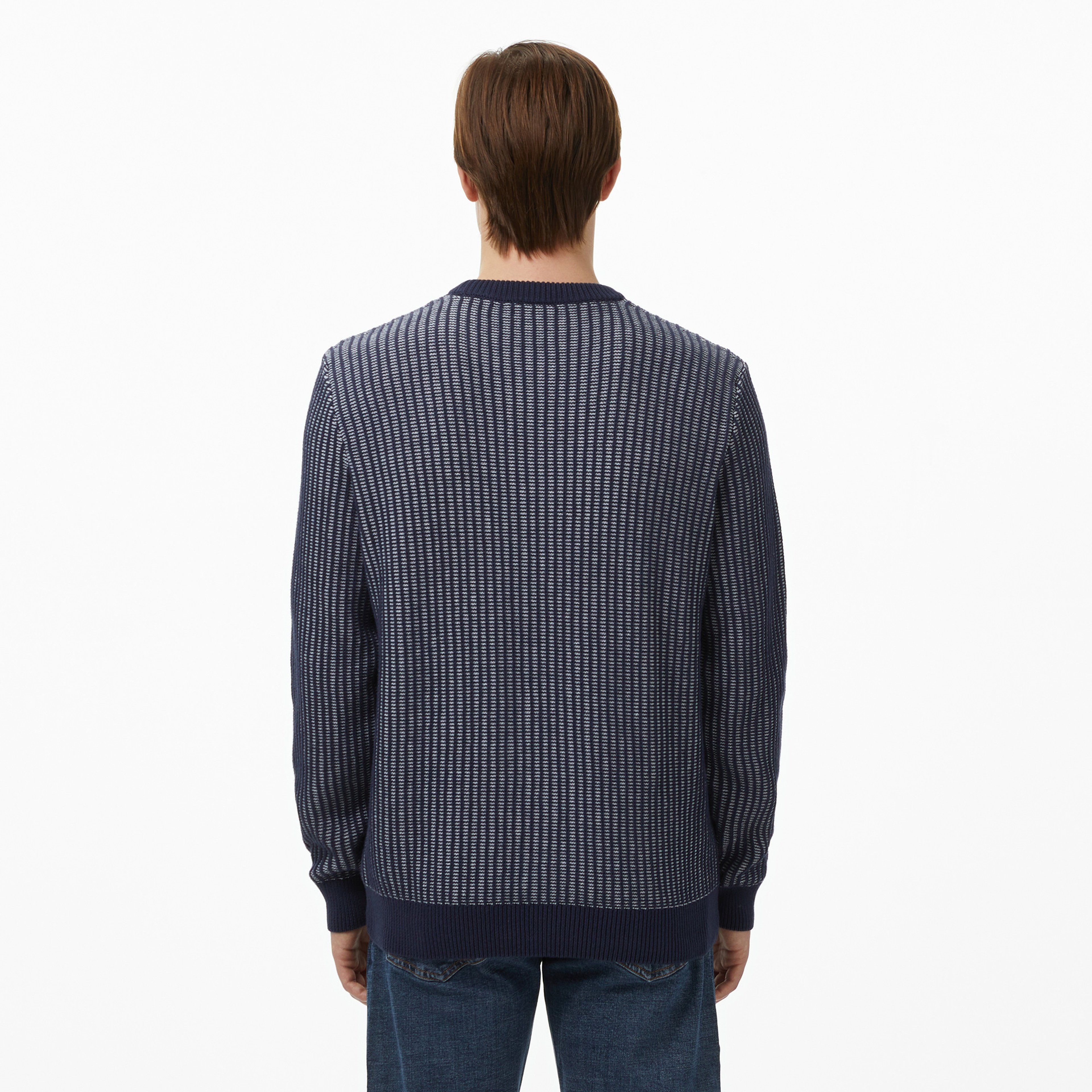 Erkek Classic Fit Bisiklet Yaka Desenli Lacivert Kazak