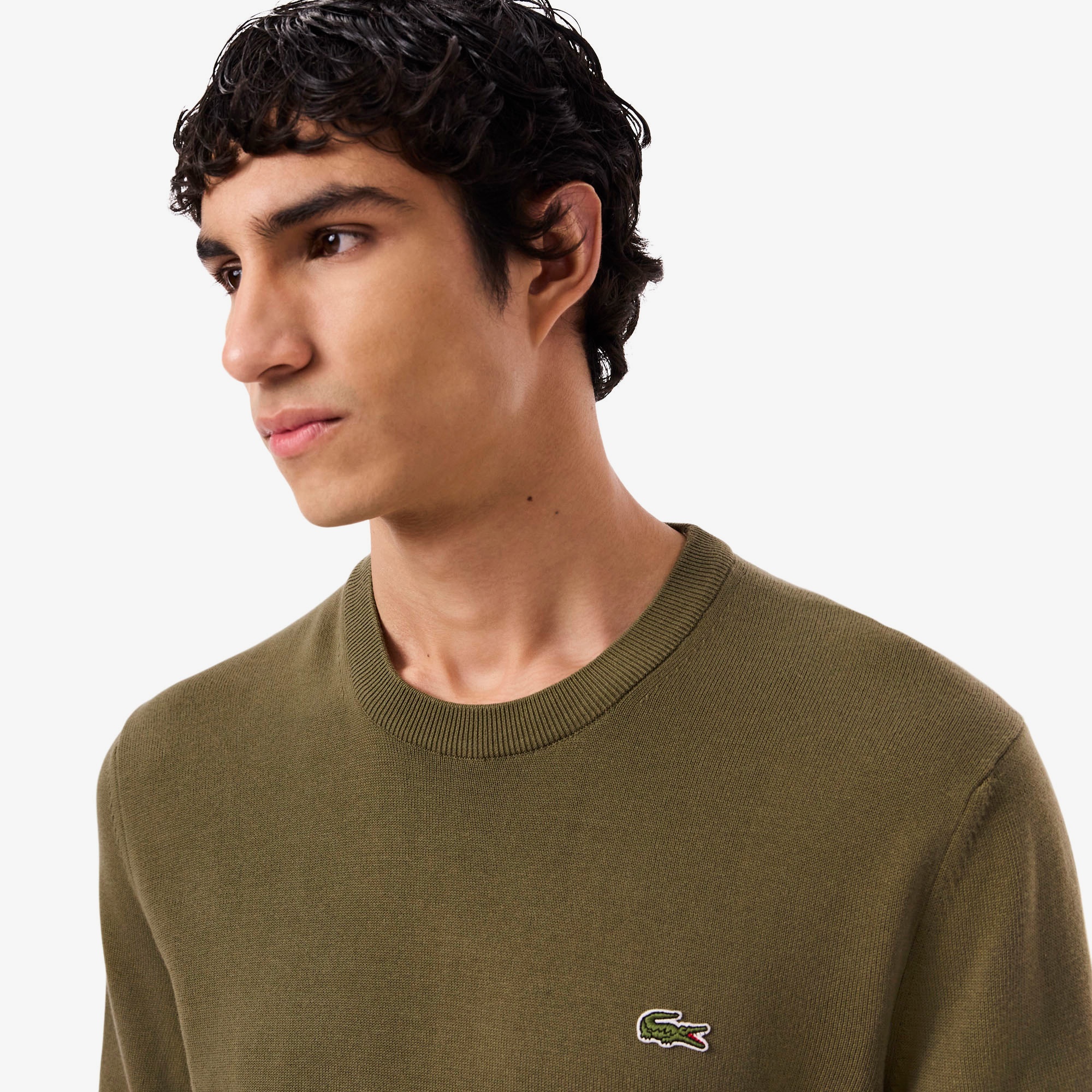 Erkek Regular Fit Bisiklet Yaka Organik Pamuk Haki Kazak