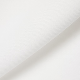 Erkek Regular Fit Beyaz Şort Beyaz