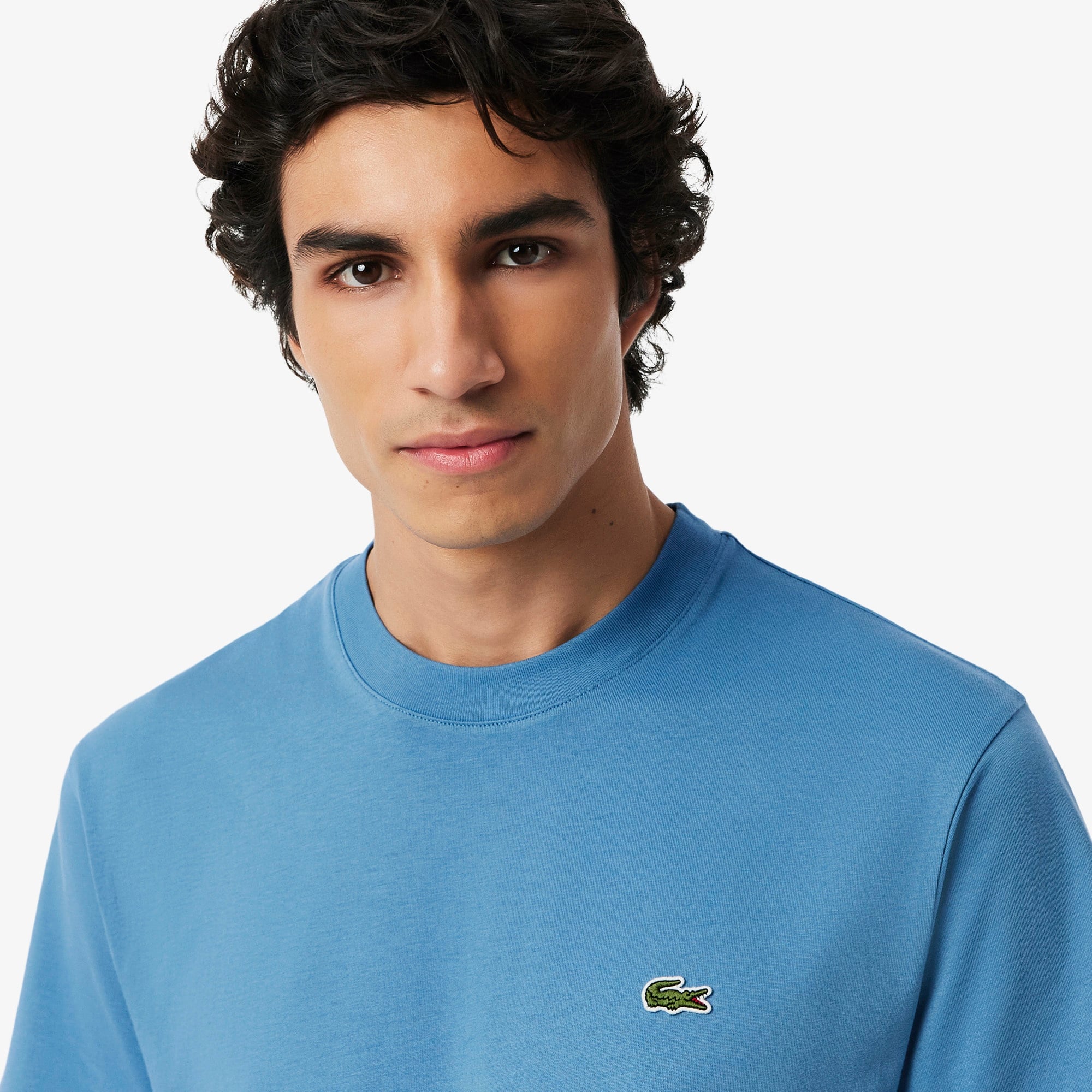 Erkek Classic Fit Bisiklet Yaka Mavi T-Shirt