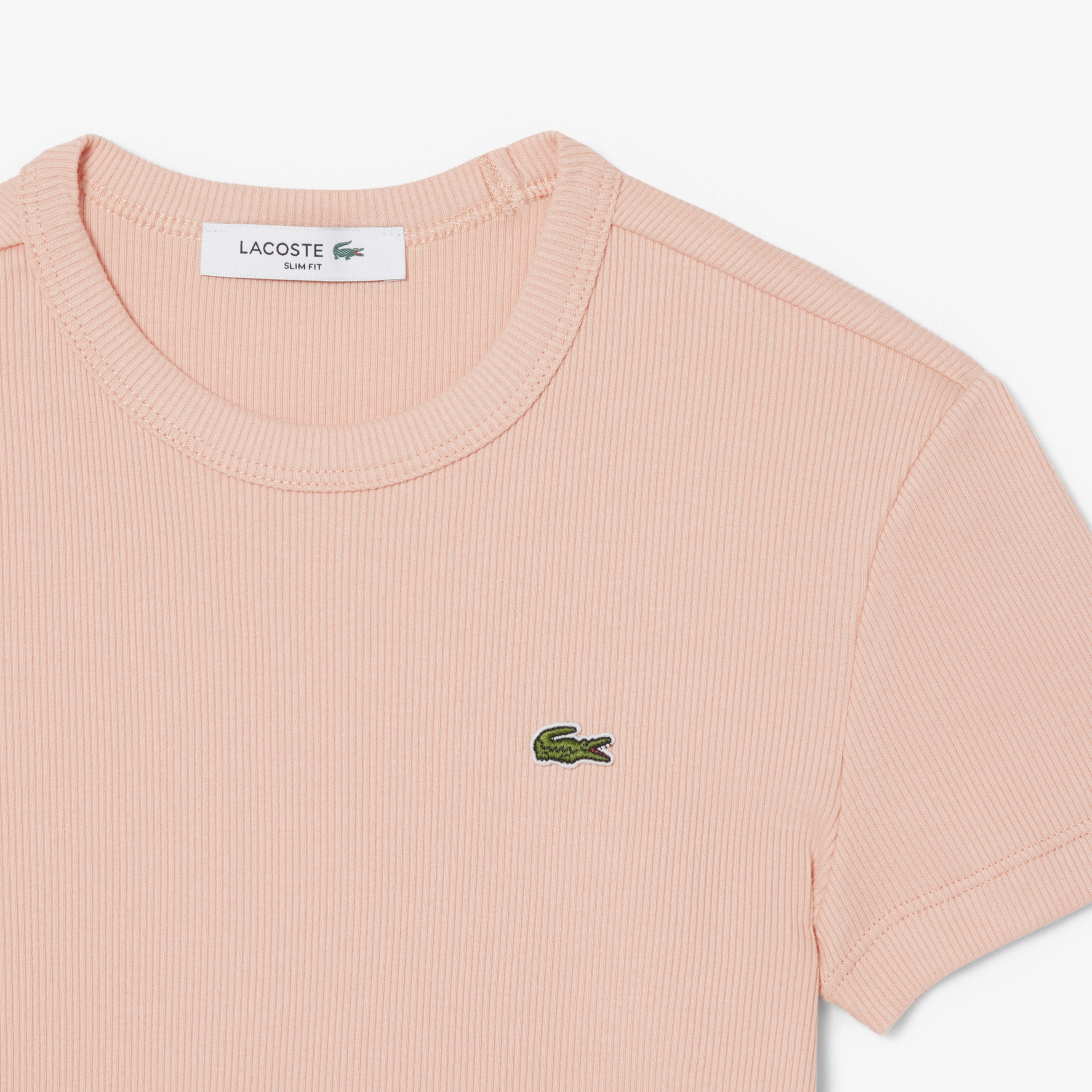 Kadın Slim Fit Bisiklet Yaka Pembe T-Shirt
