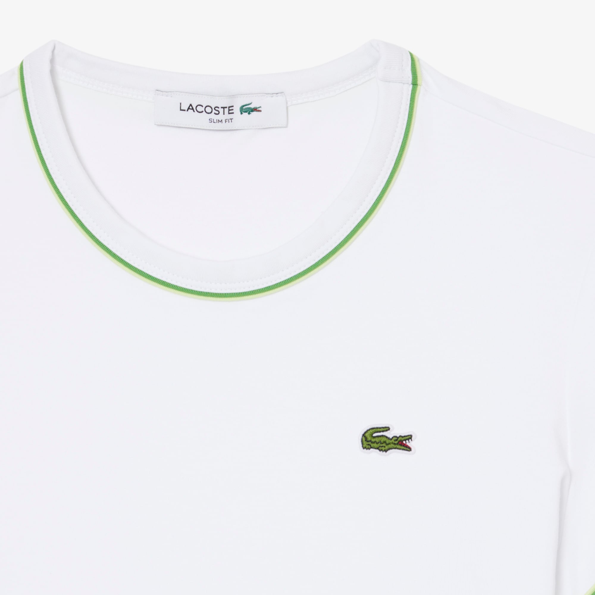 Kadın Slim Fit Bisiklet Yaka Beyaz T-Shirt