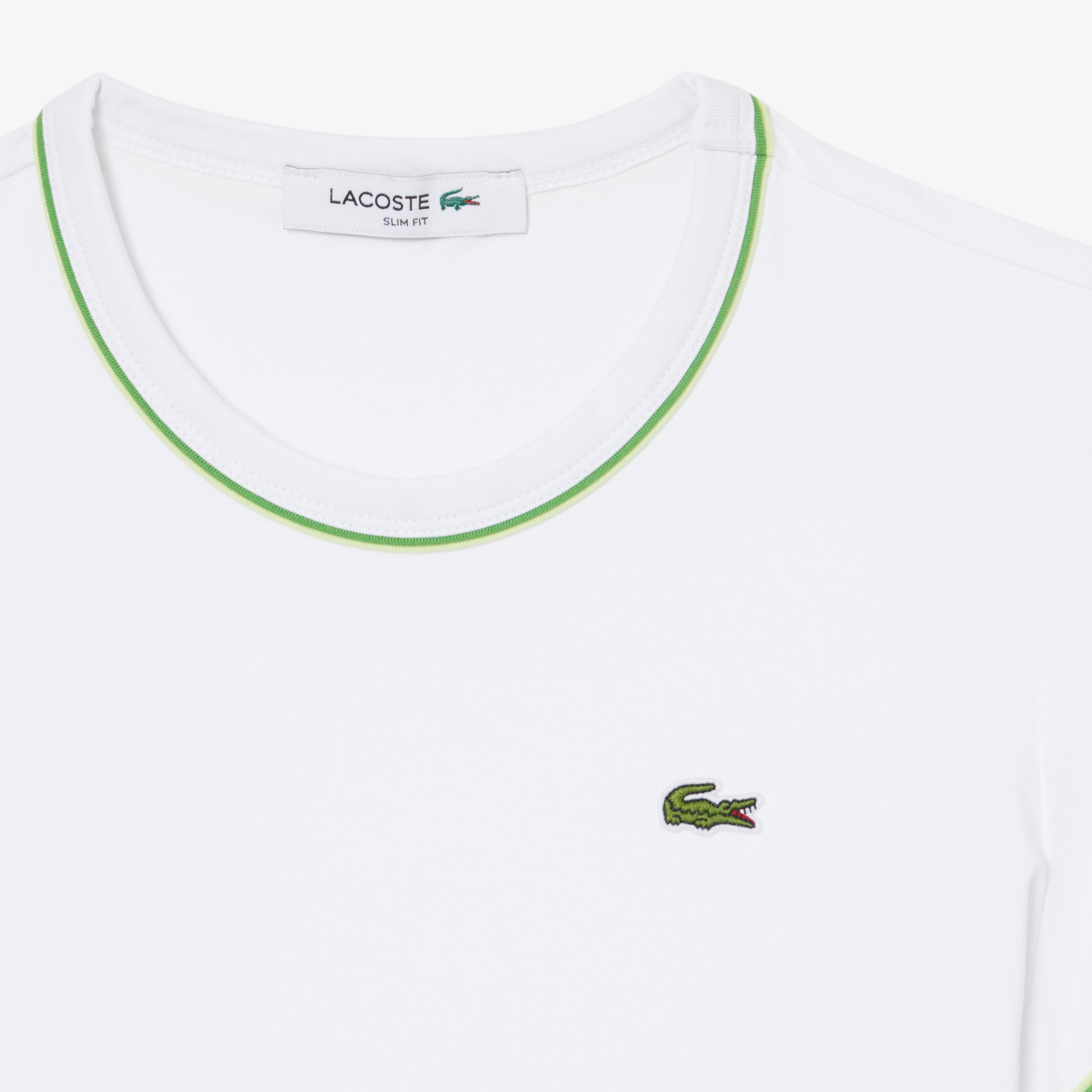 Kadın Slim Fit Bisiklet Yaka Beyaz T-Shirt