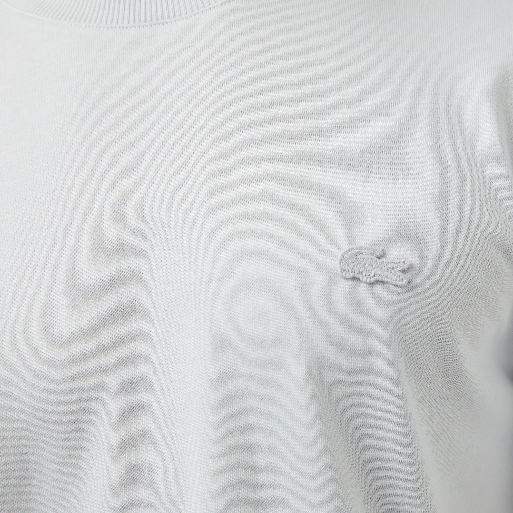 Erkek Relaxed Fit Bisiklet Yaka Gri T-Shirt