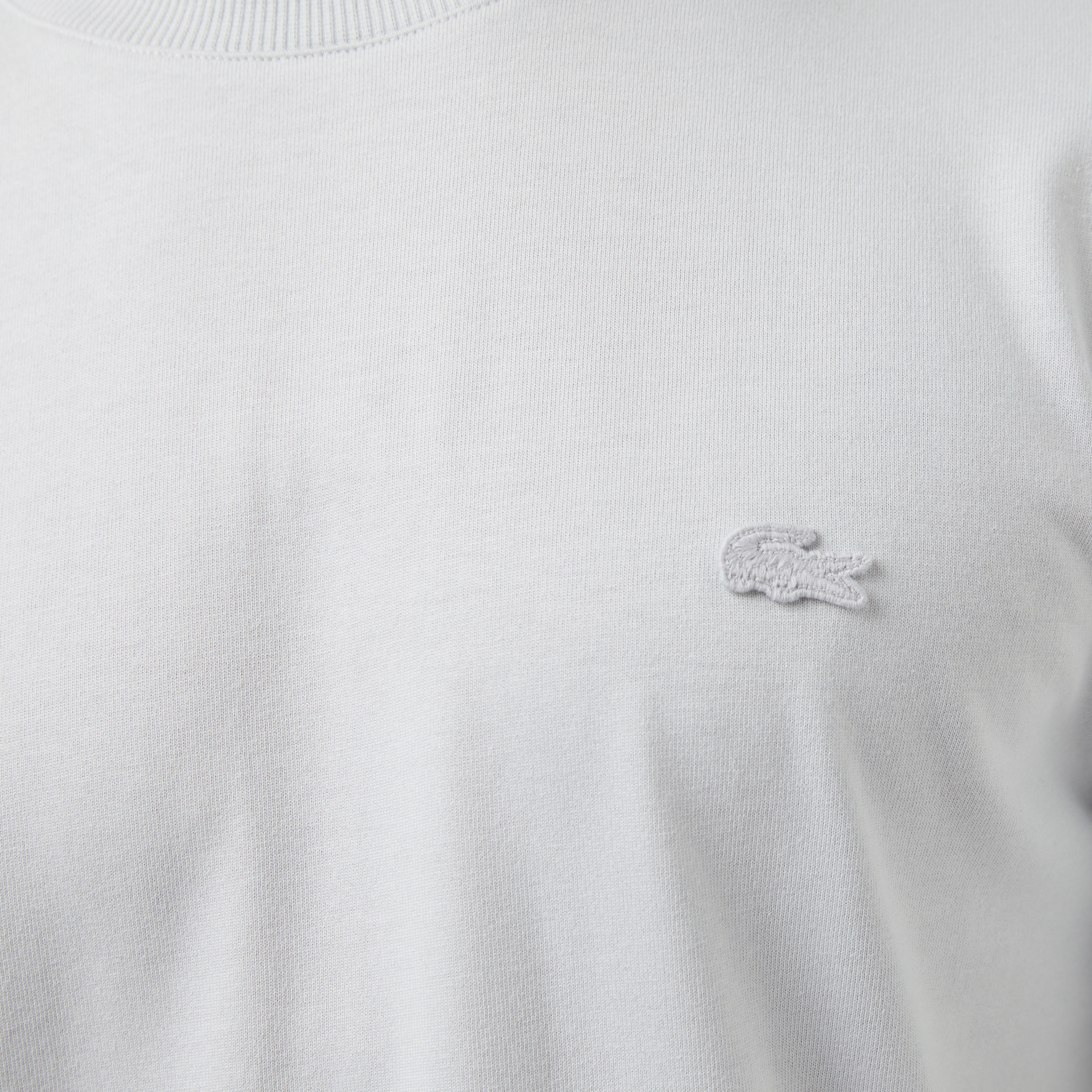 Erkek Relaxed Fit Bisiklet Yaka Gri T-Shirt