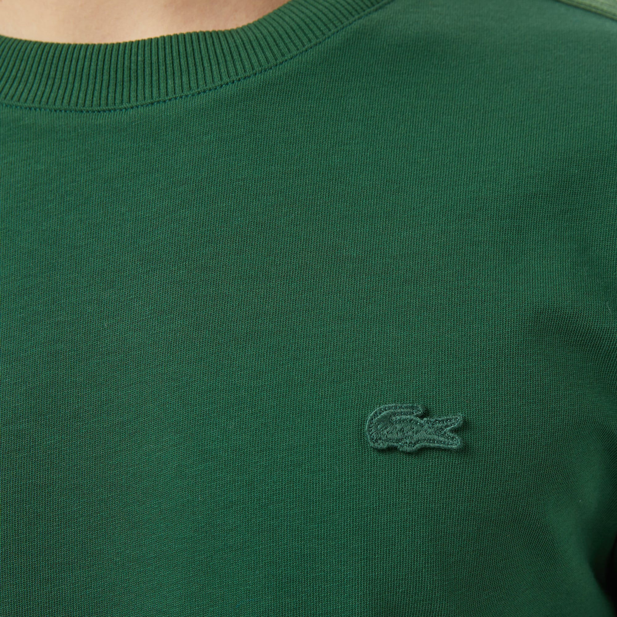 Lacoste Erkek Regular Fit Bisiklet Yaka Koyu Yeşil T-Shirt görsel 7
