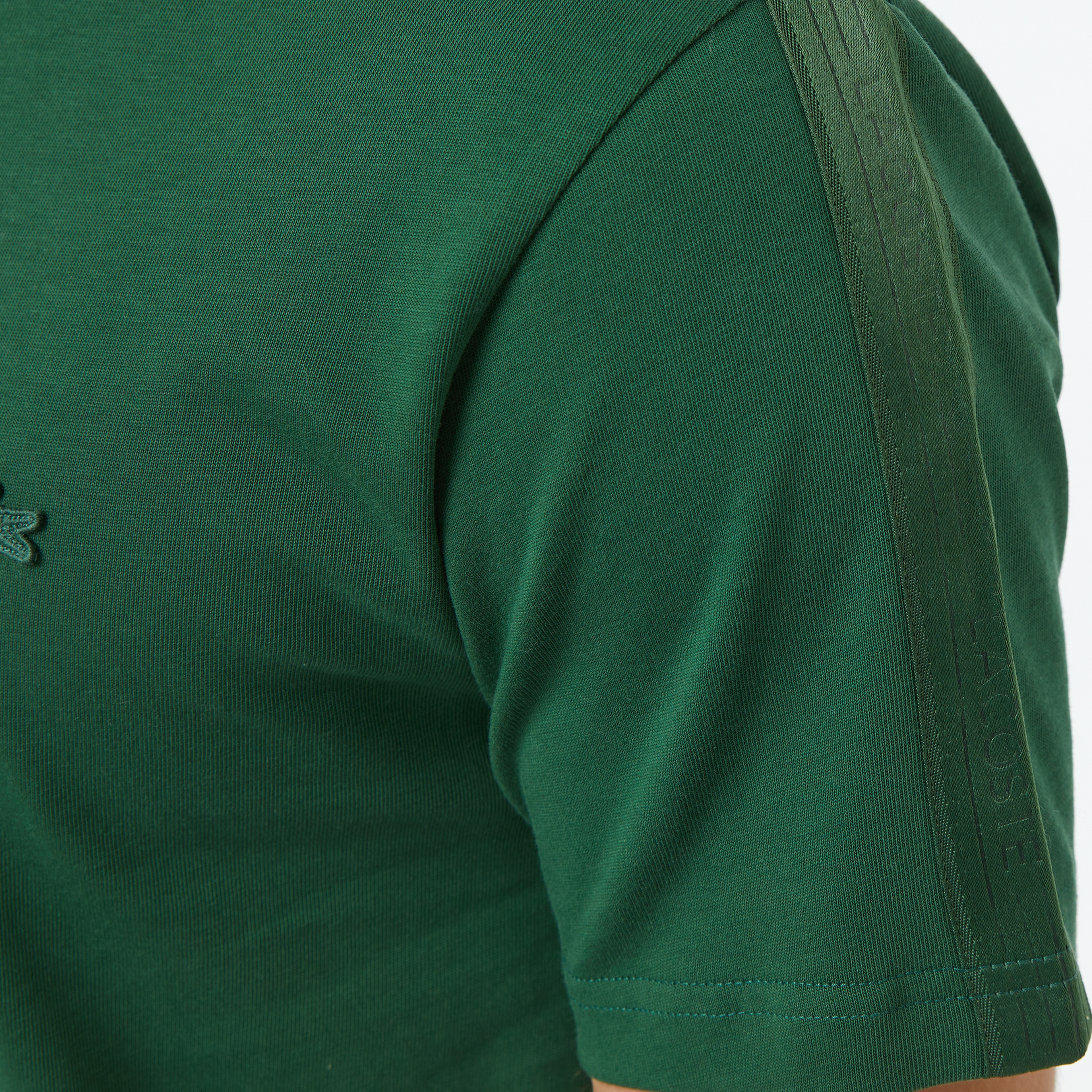 Erkek Regular Fit Bisiklet Yaka Koyu Yeşil T-Shirt