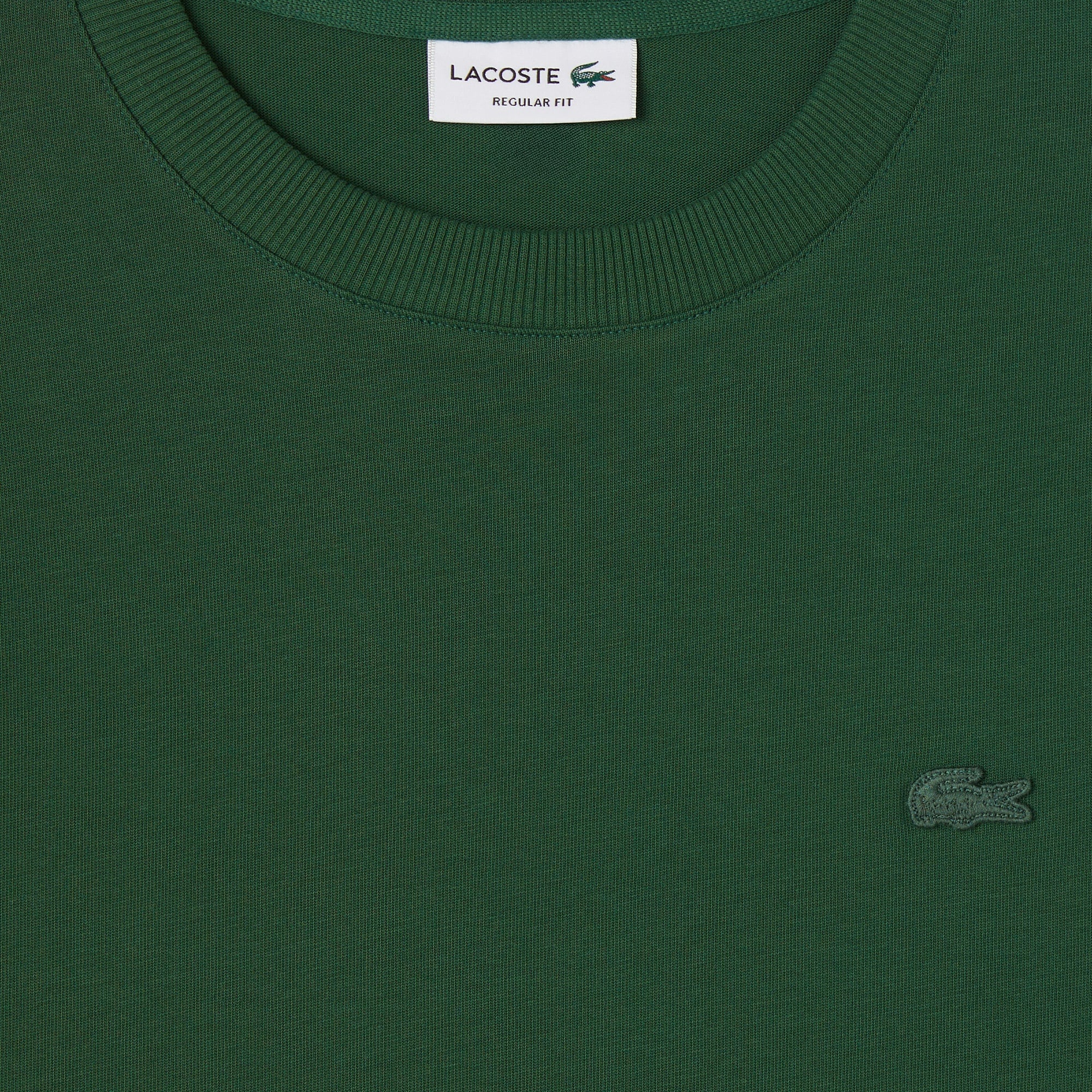 Erkek Regular Fit Bisiklet Yaka Koyu Yeşil T-Shirt