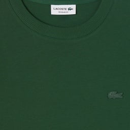 Erkek Regular Fit Bisiklet Yaka Koyu Yeşil T-Shirt Yeşil