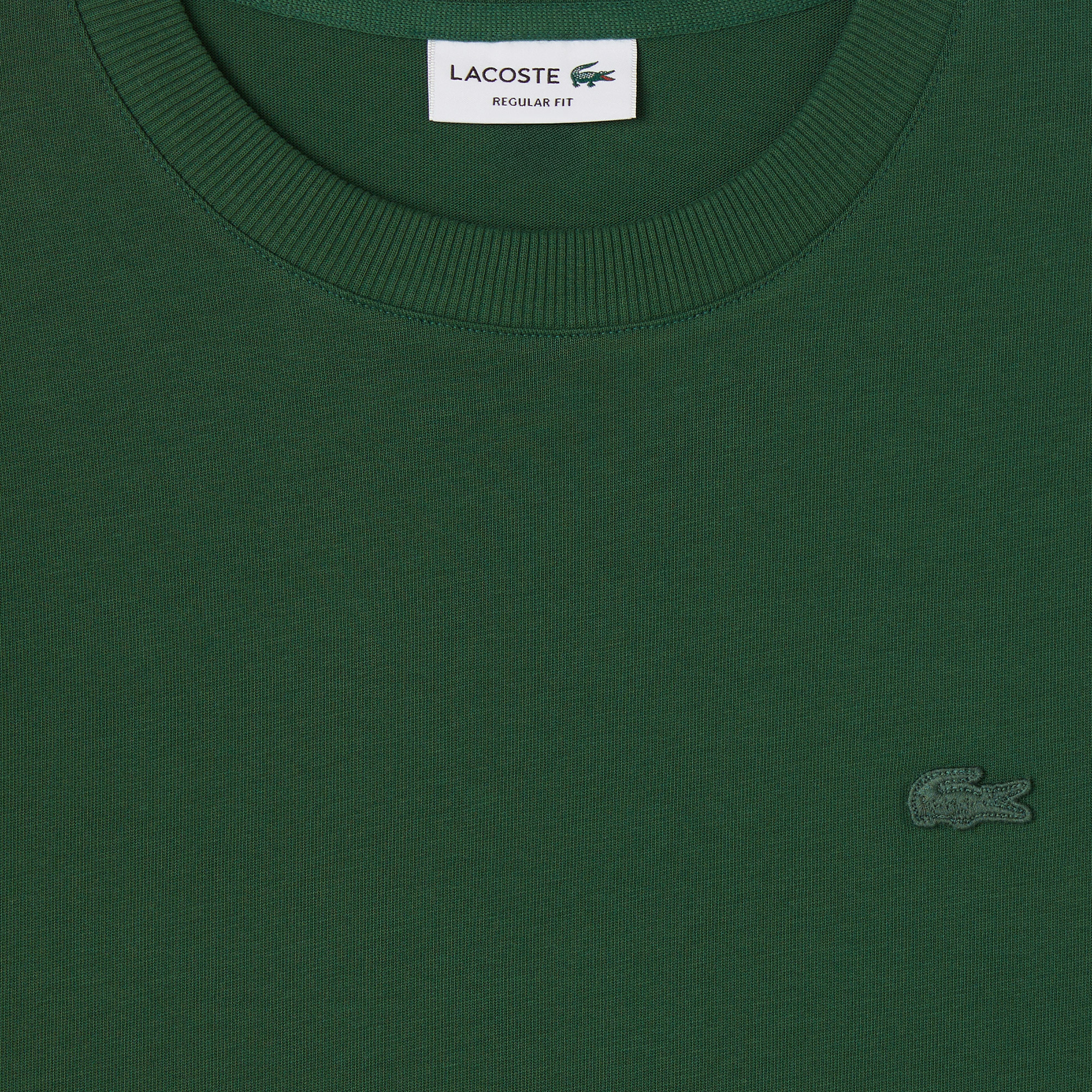 Erkek Regular Fit Bisiklet Yaka Koyu Yeşil T-Shirt