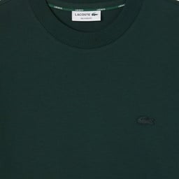 Erkek Relaxed Fit Bisiklet Yaka Yeşil T-Shirt Yeşil