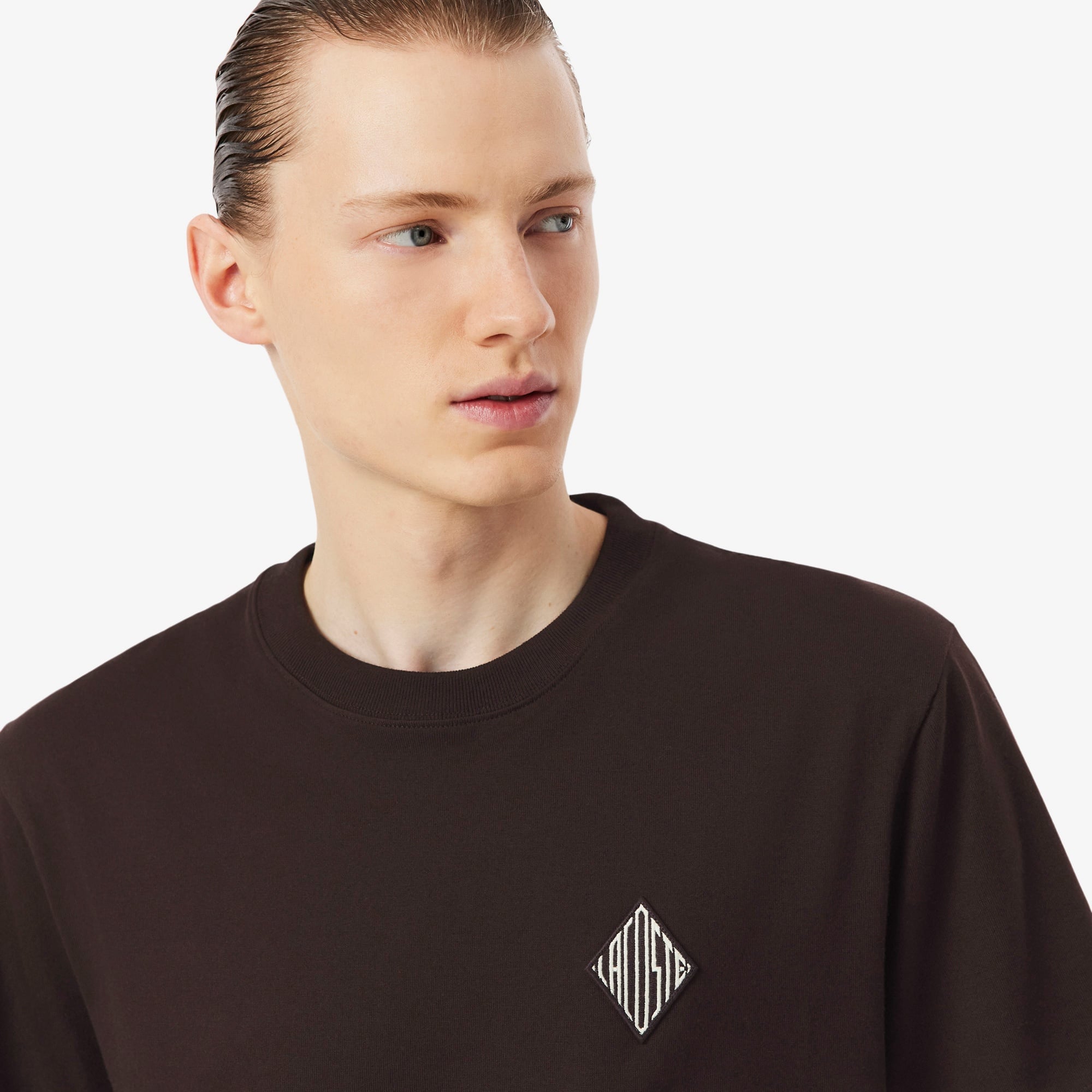 Erkek Classic Fit Bisiklet Yaka Koyu Kahverengi T-Shirt