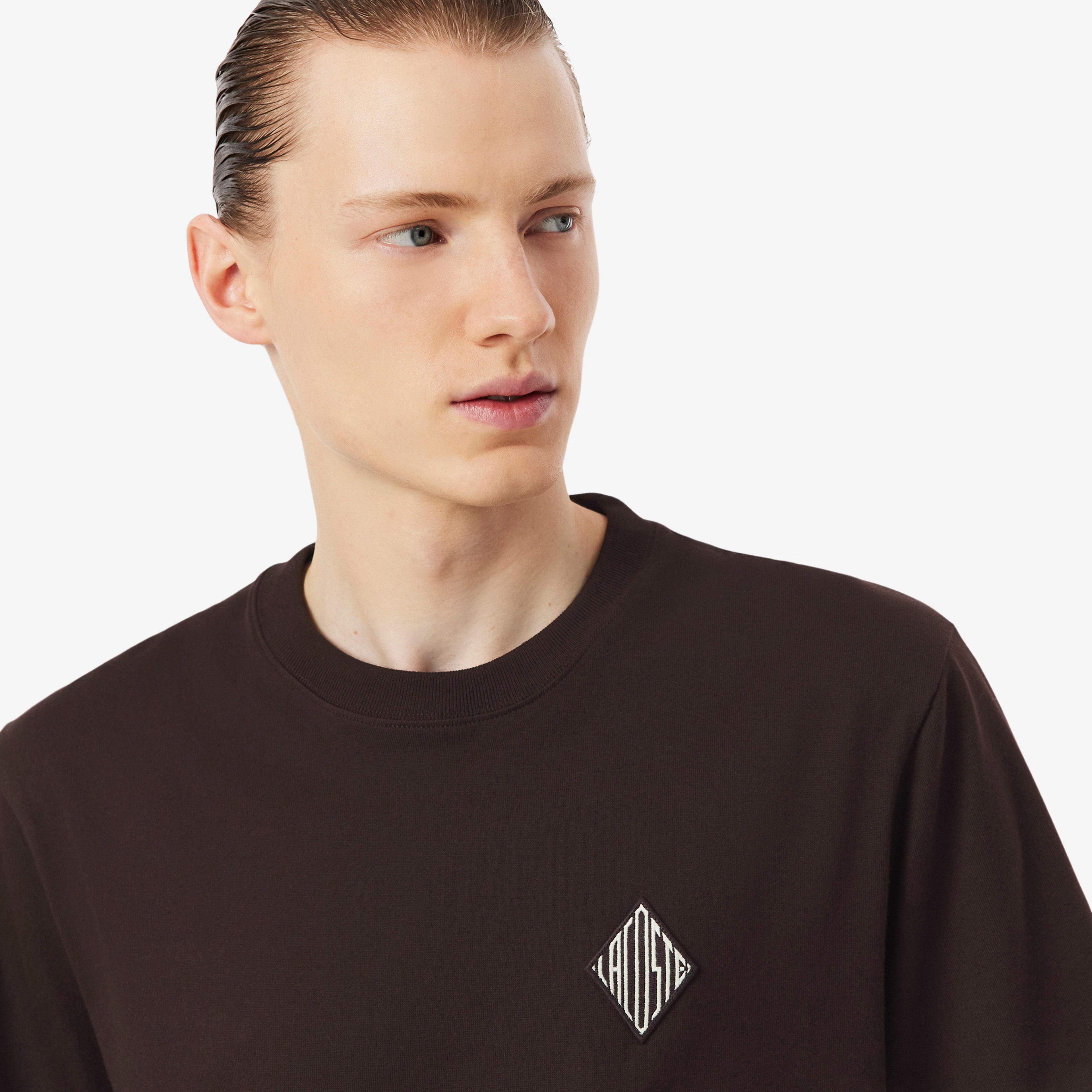 Erkek Classic Fit Bisiklet Yaka Koyu Kahverengi T-Shirt