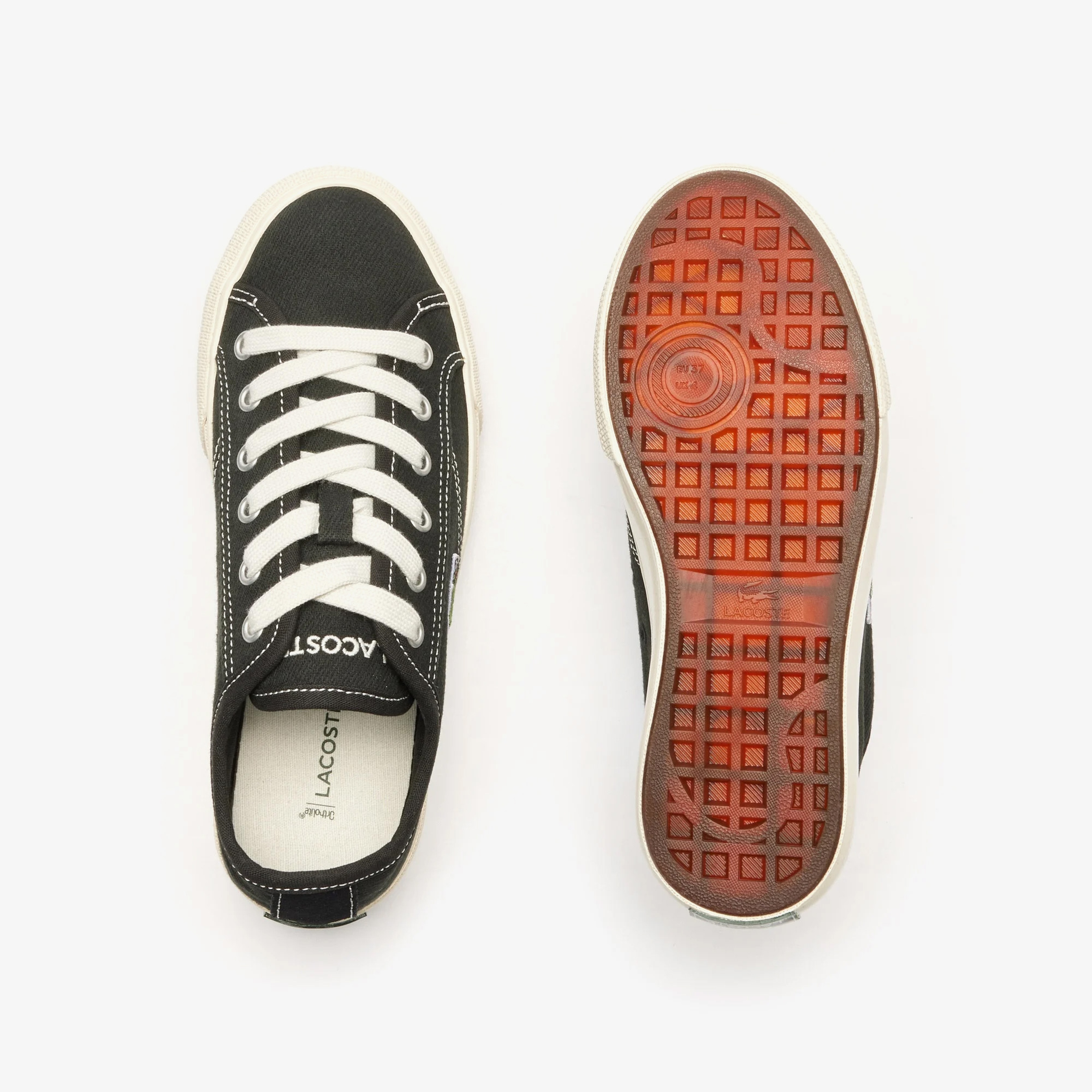 Backcourt Kadın Siyah Sneaker