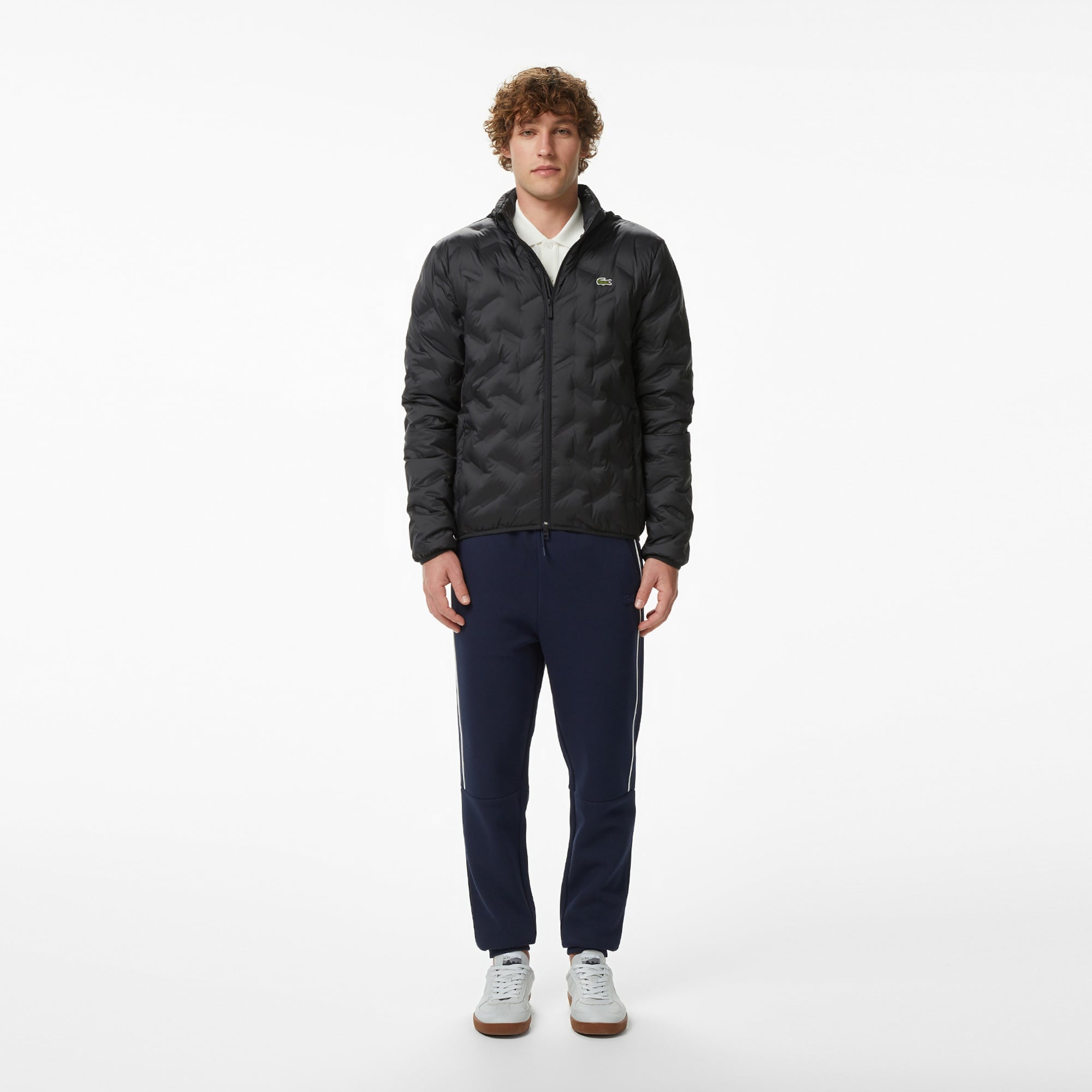 Erkek Regular Fit Dik Yaka Kapitone Siyah Mont