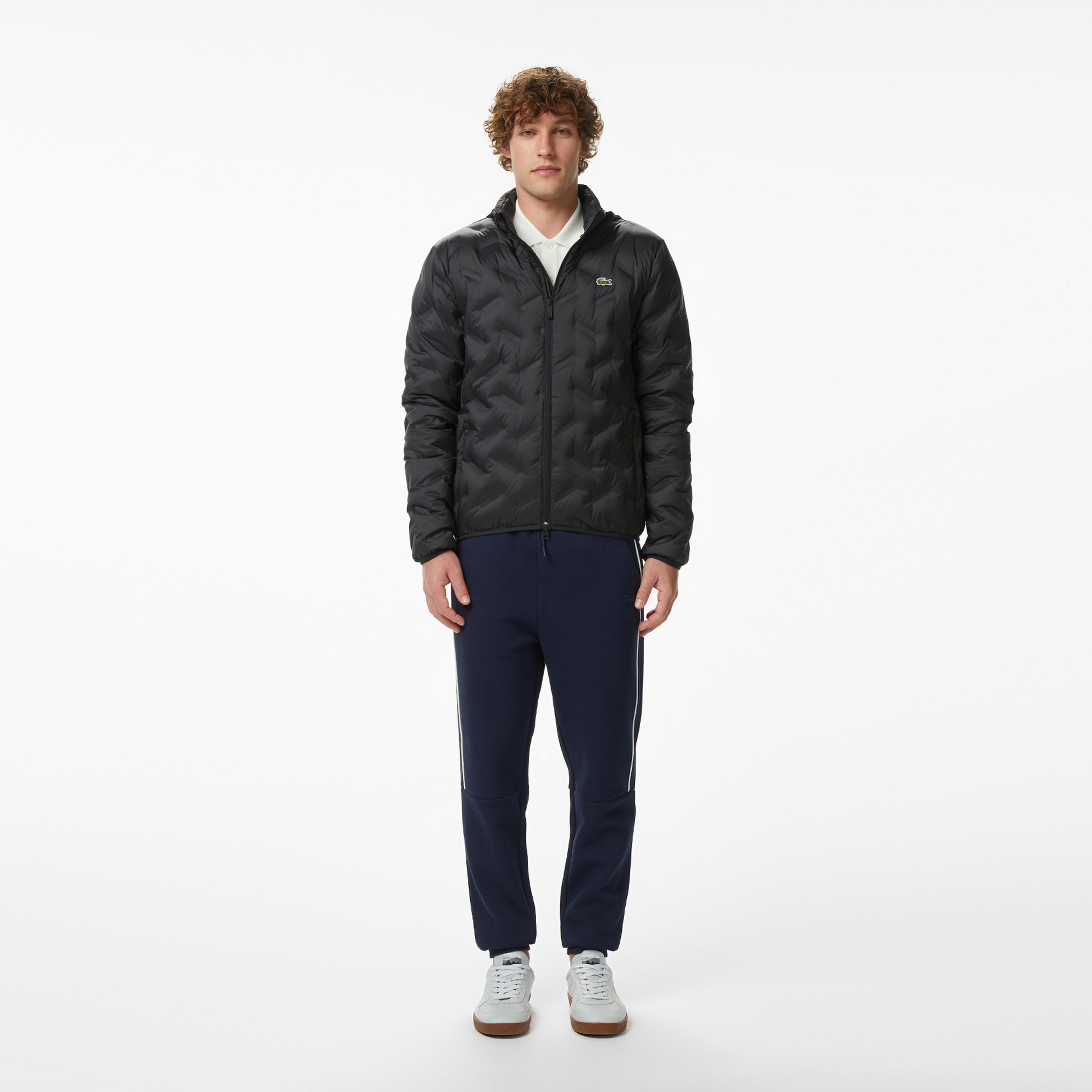 Erkek Regular Fit Dik Yaka Kapitone Siyah Mont