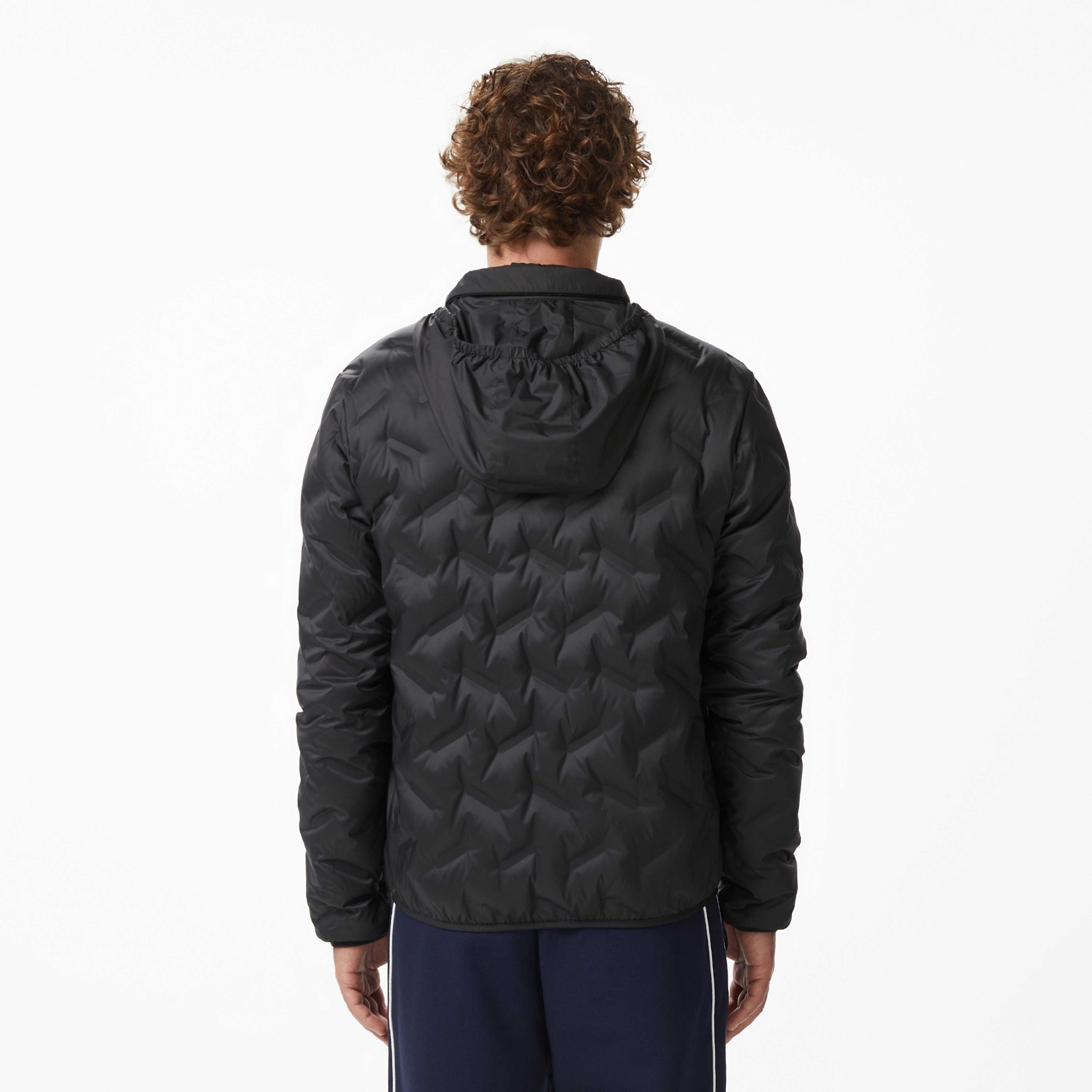 Erkek Regular Fit Dik Yaka Kapitone Siyah Mont