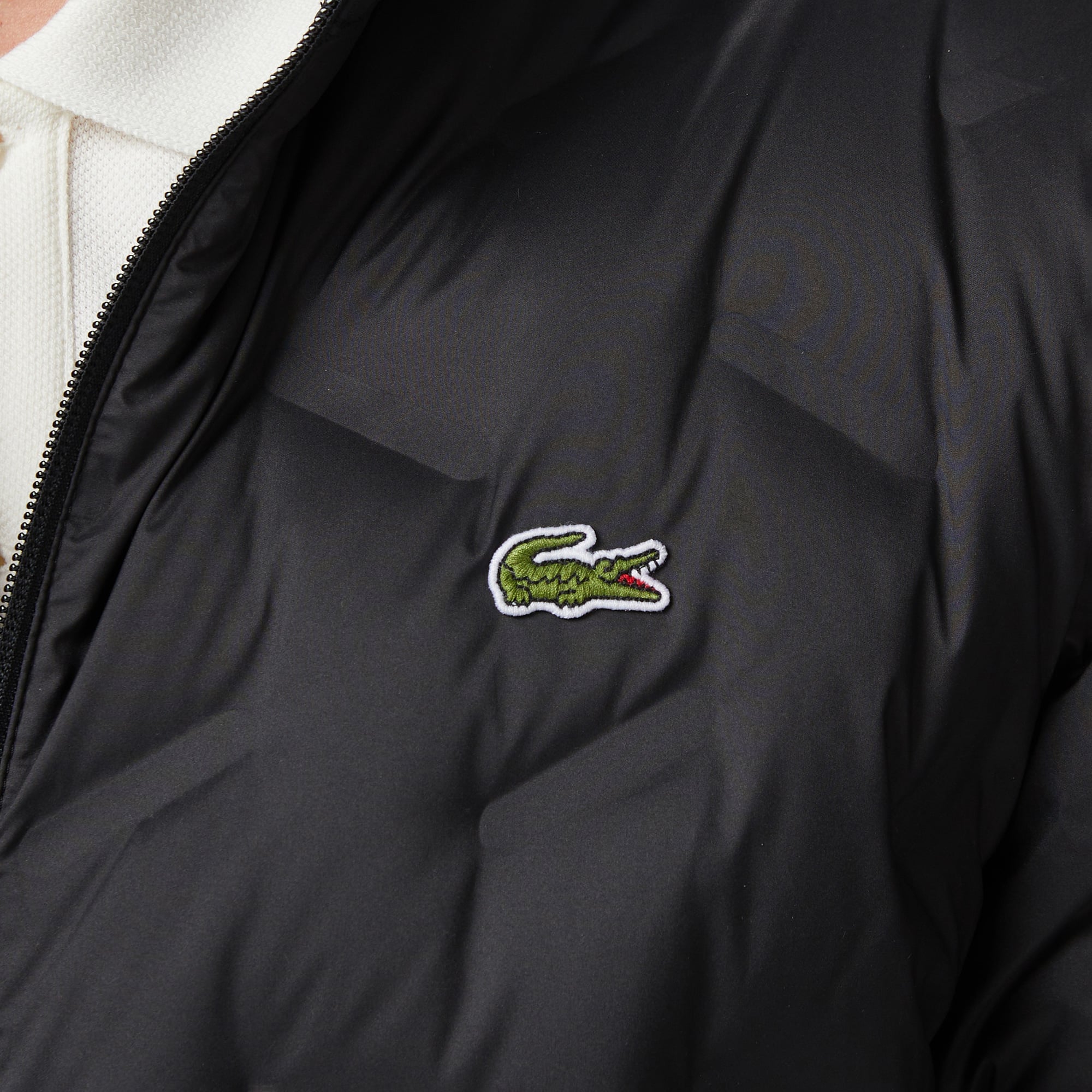 Lacoste Erkek Regular Fit Kapüşonlu Kapitone Siyah Mont görsel 6