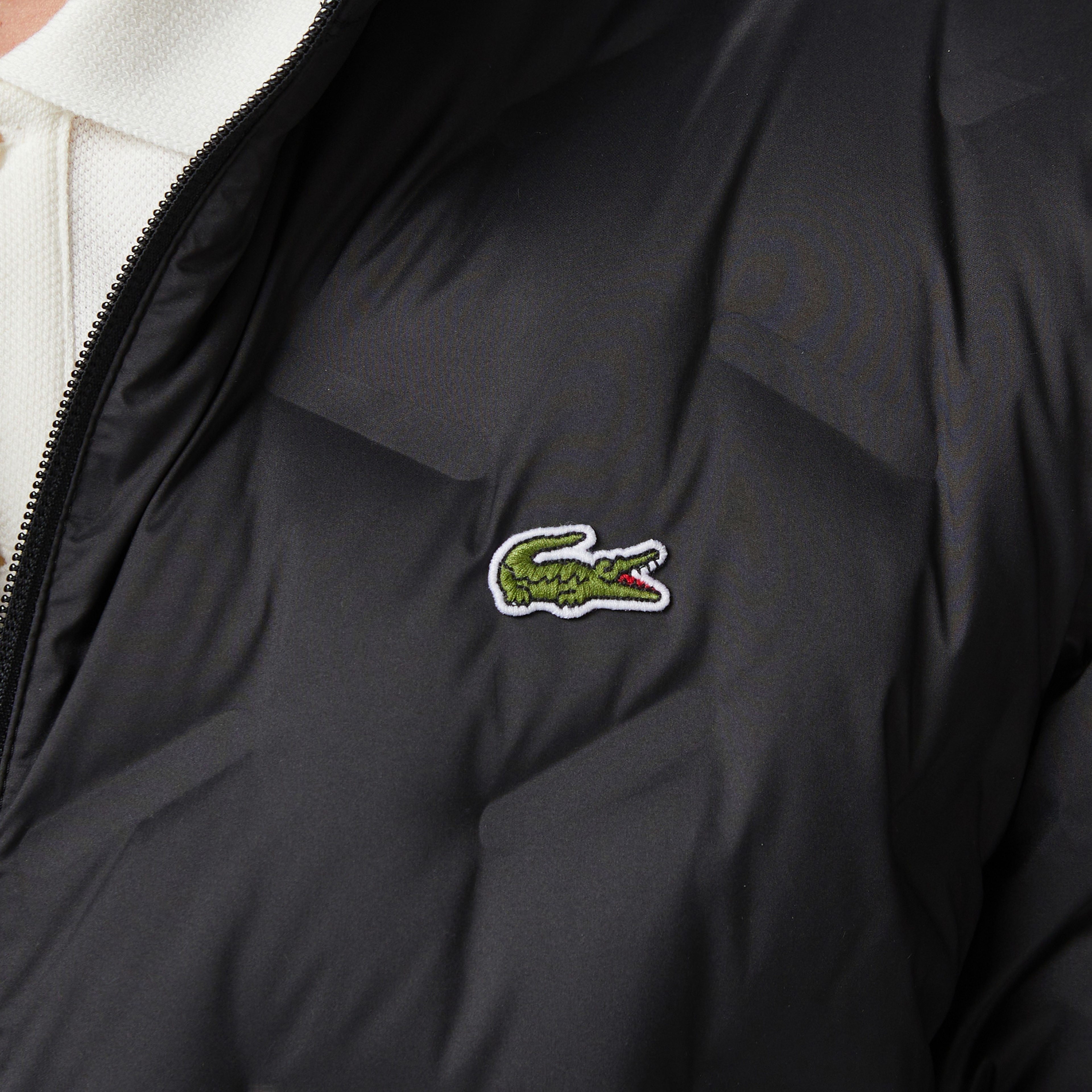 Erkek Regular Fit Dik Yaka Kapitone Siyah Mont