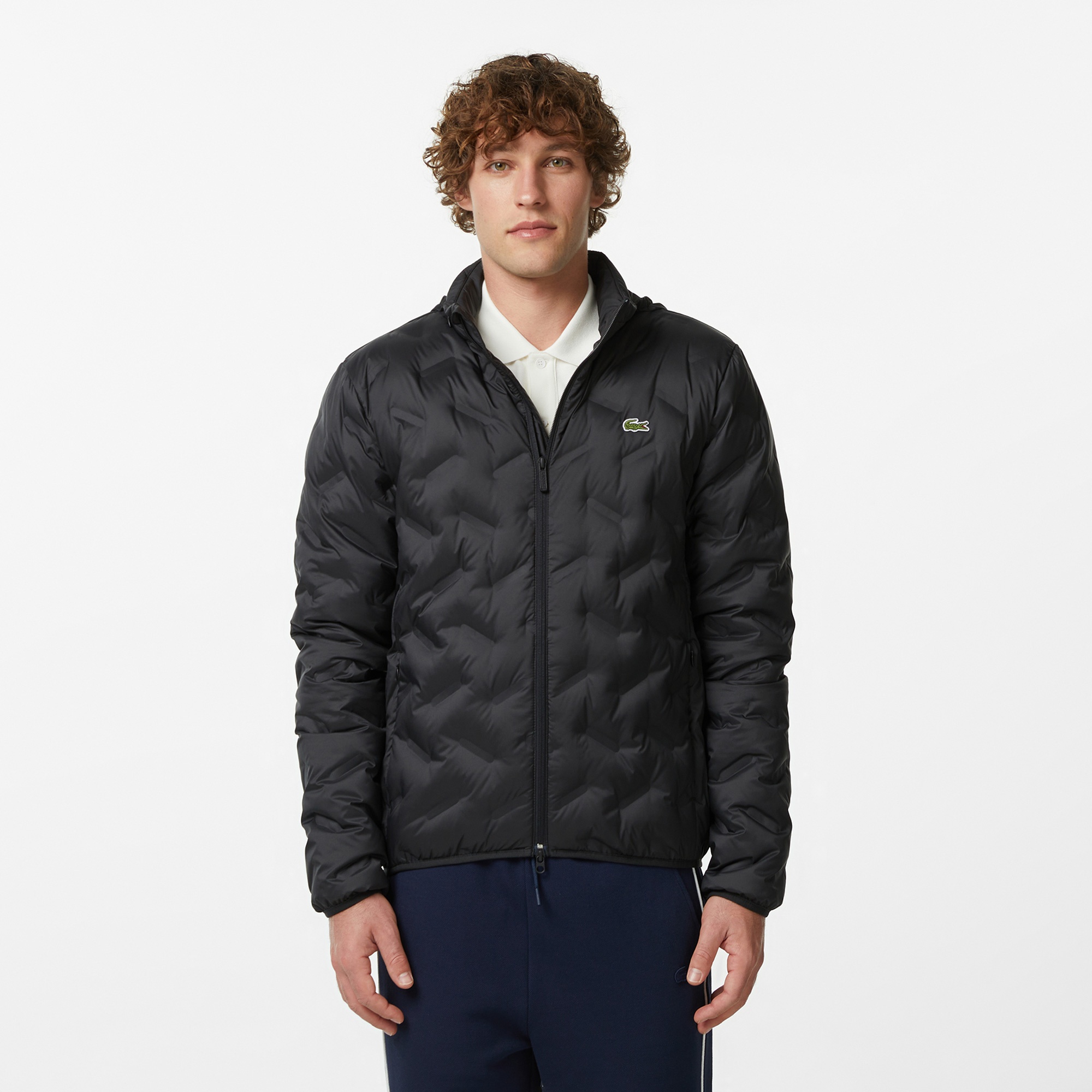 Erkek Regular Fit Dik Yaka Kapitone Siyah Mont