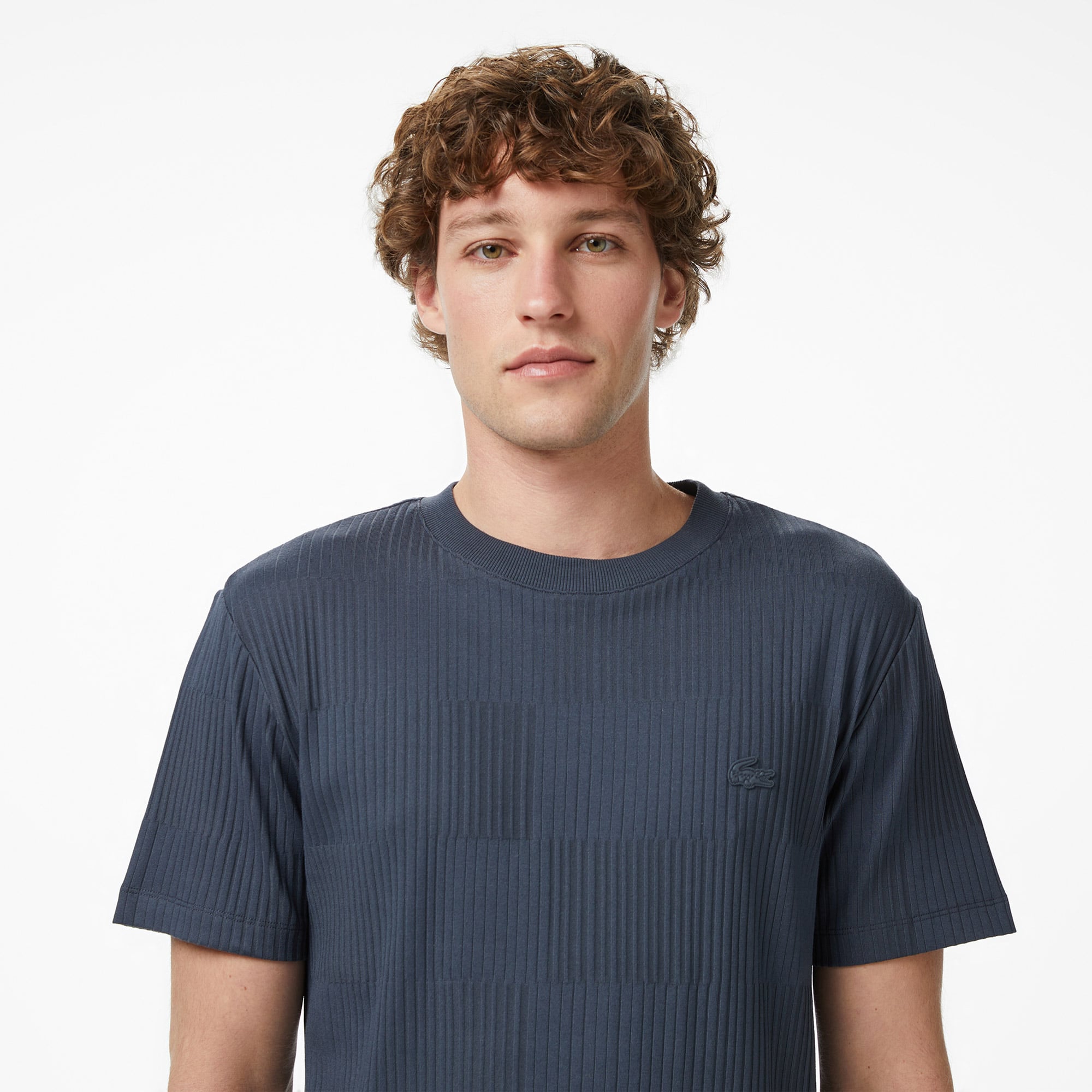 Lacoste Erkek Regular Fit Bisiklet Yaka Çizgili Koyu Gri T-Shirt görsel 2
