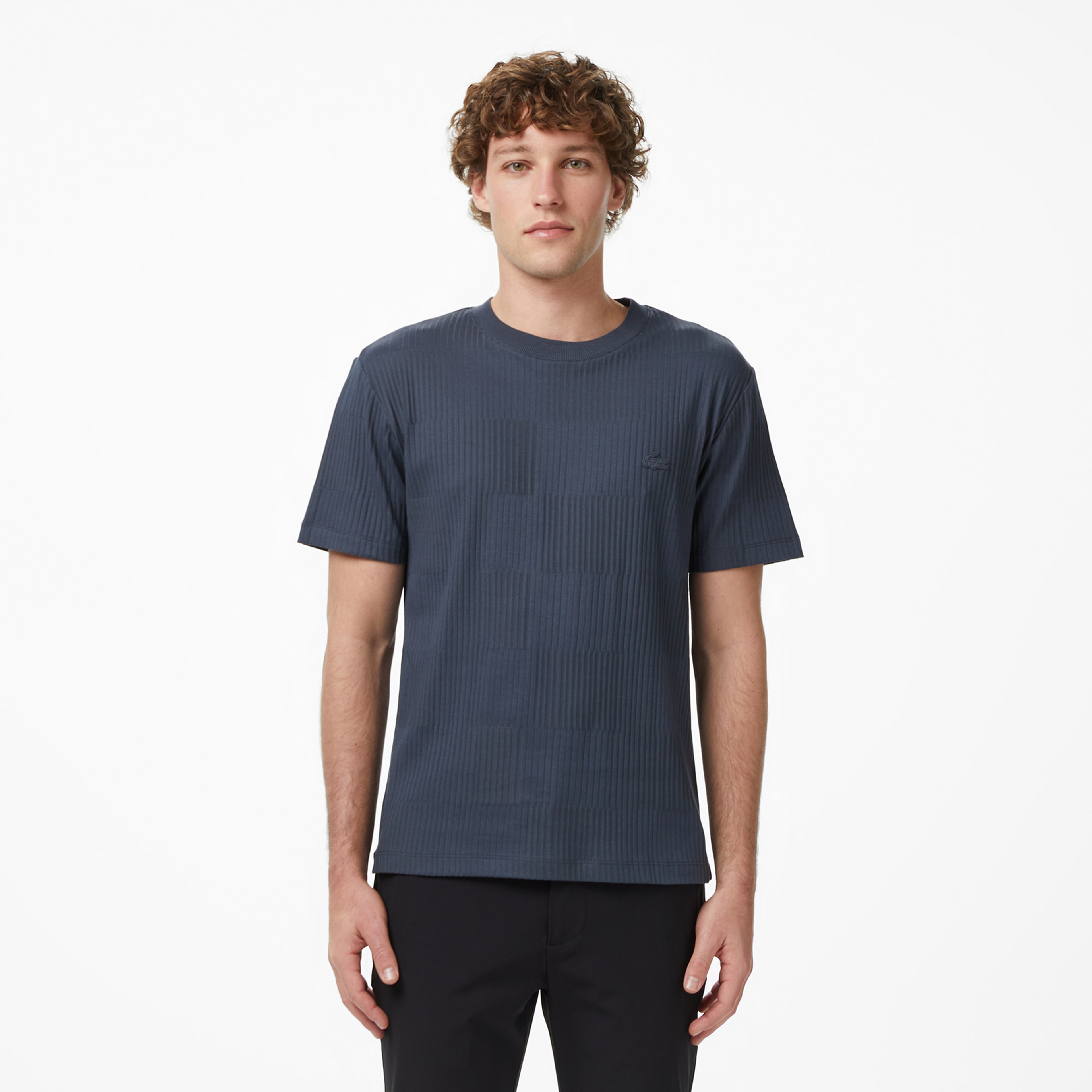 Erkek Regular Fit Bisiklet Yaka Çizgili Koyu Gri T-Shirt