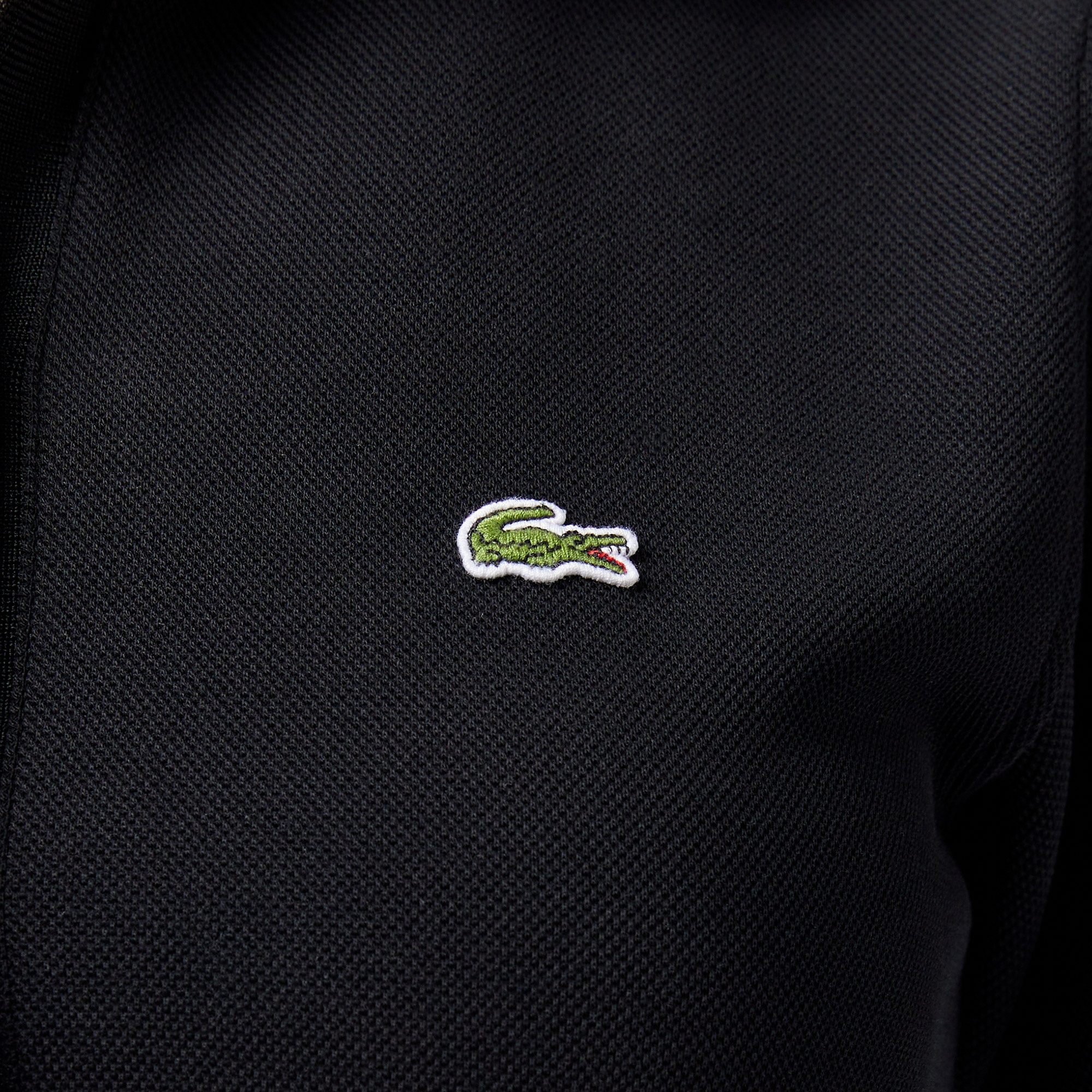 Kadın Classic Fit Kısa Kollu Polo Yaka Siyah Elbise