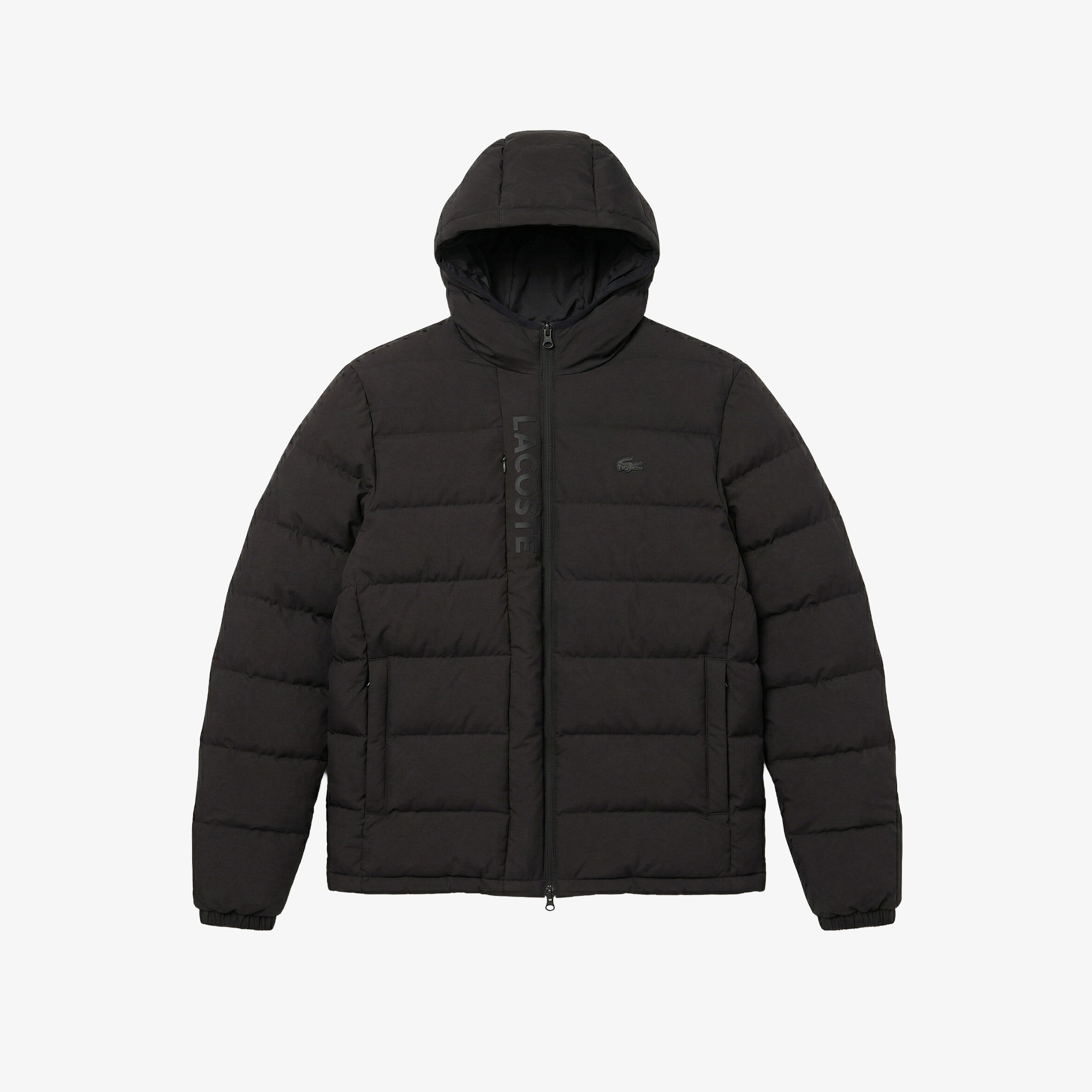 Erkek Regular Fit Kapüşonlu Siyah Şişme Mont