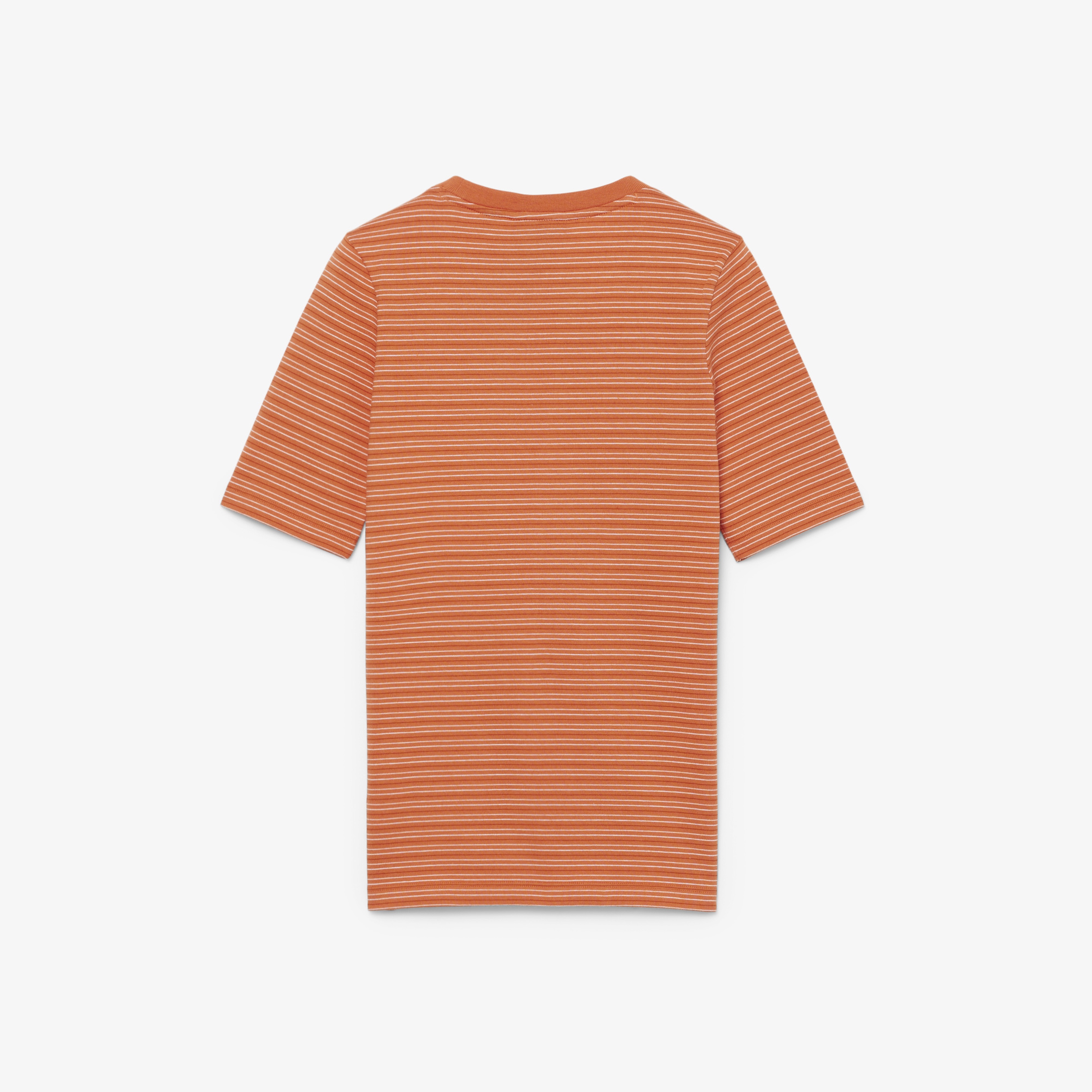 SS26 RUNWAY Kadın Slim Fit Bisiklet Yaka Çizgili Turuncu T-Shirt