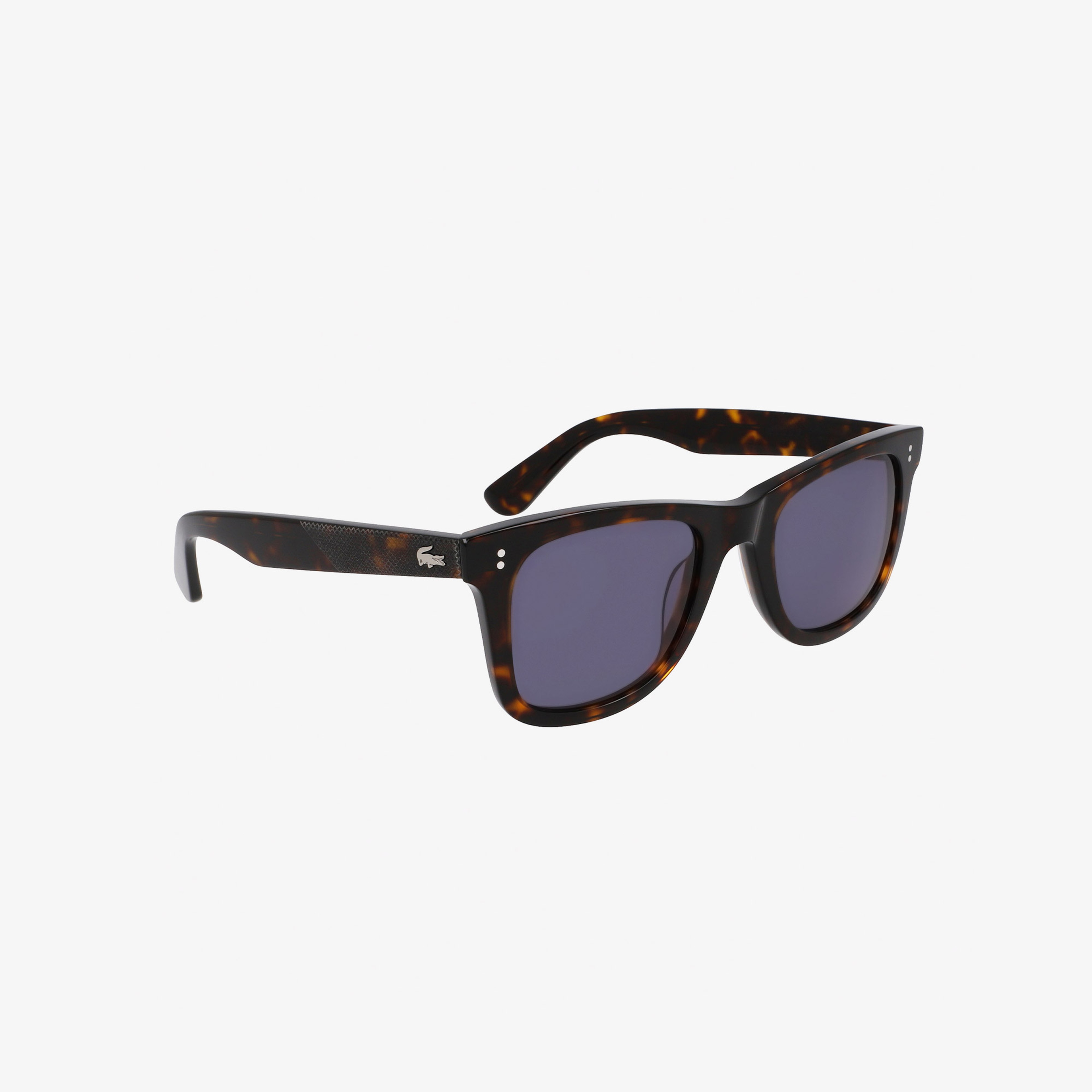 Erkek Kahverengi Güneş Gözlüğü