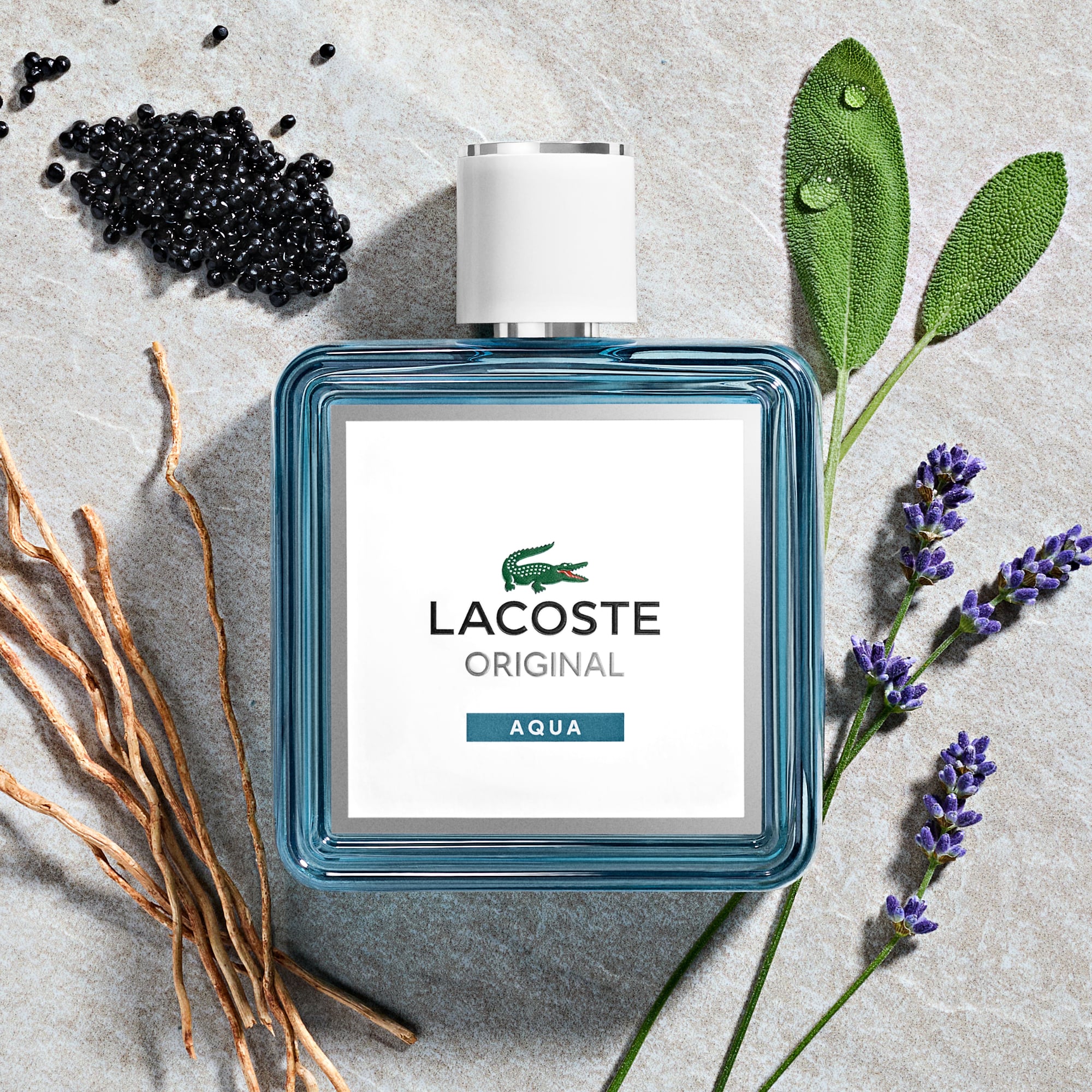 Lacoste Erkek Original Aqua Edp Parfüm 100ml görsel 3
