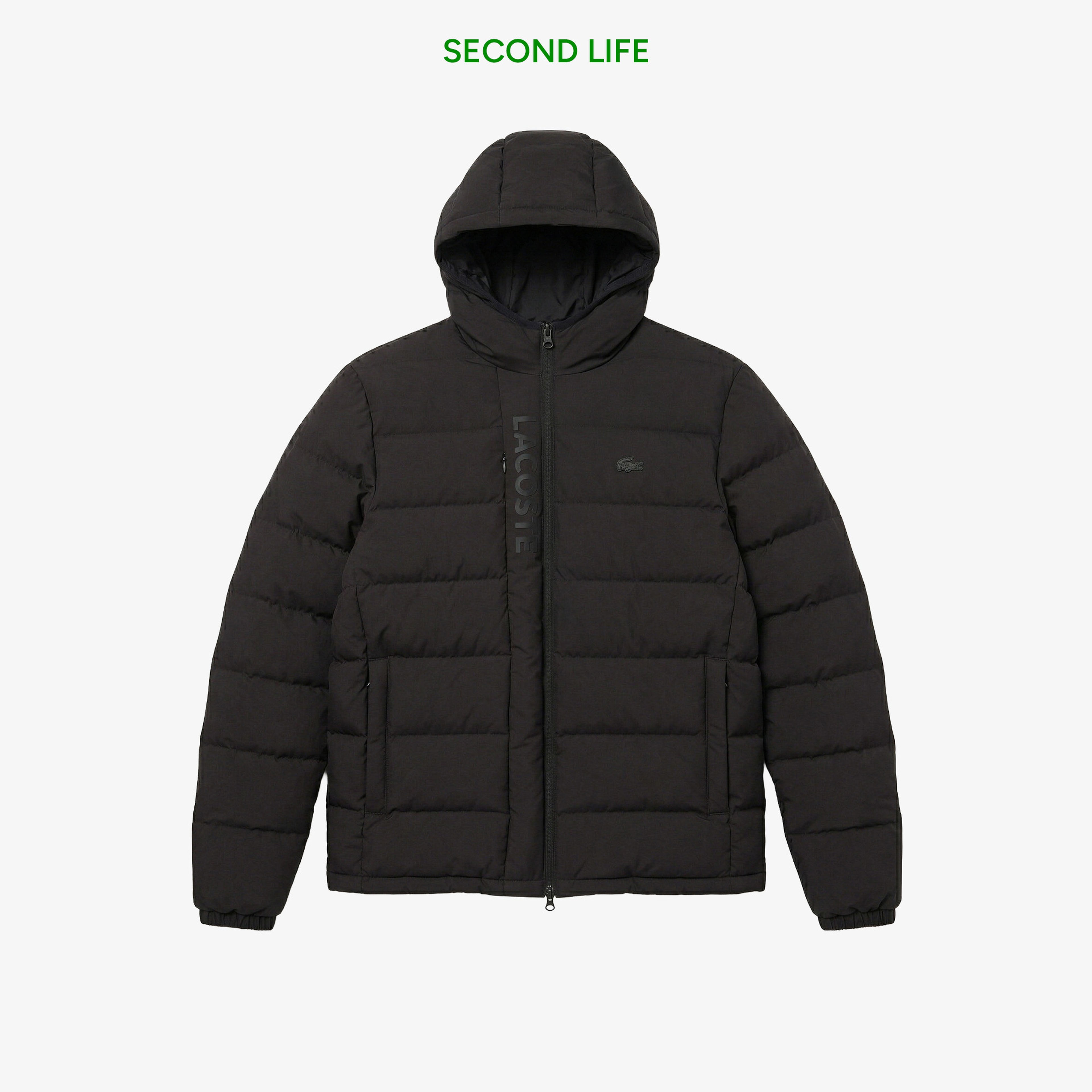 Erkek Regular Fit Kapüşonlu Siyah Şişme Mont