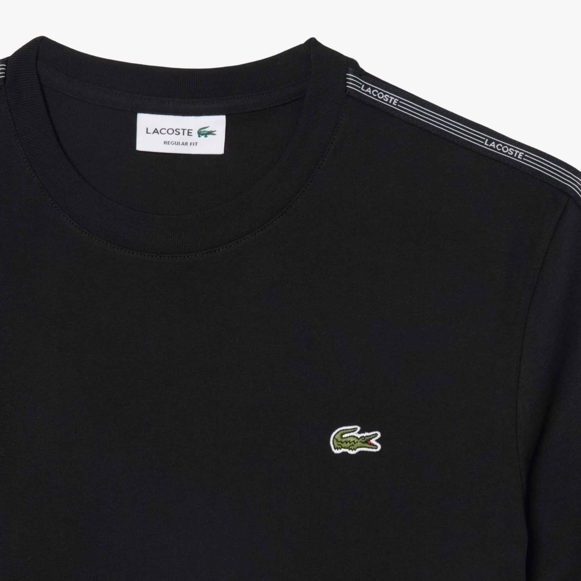 Erkek Regular Fit Bisiklet Yaka Siyah T-Shirt