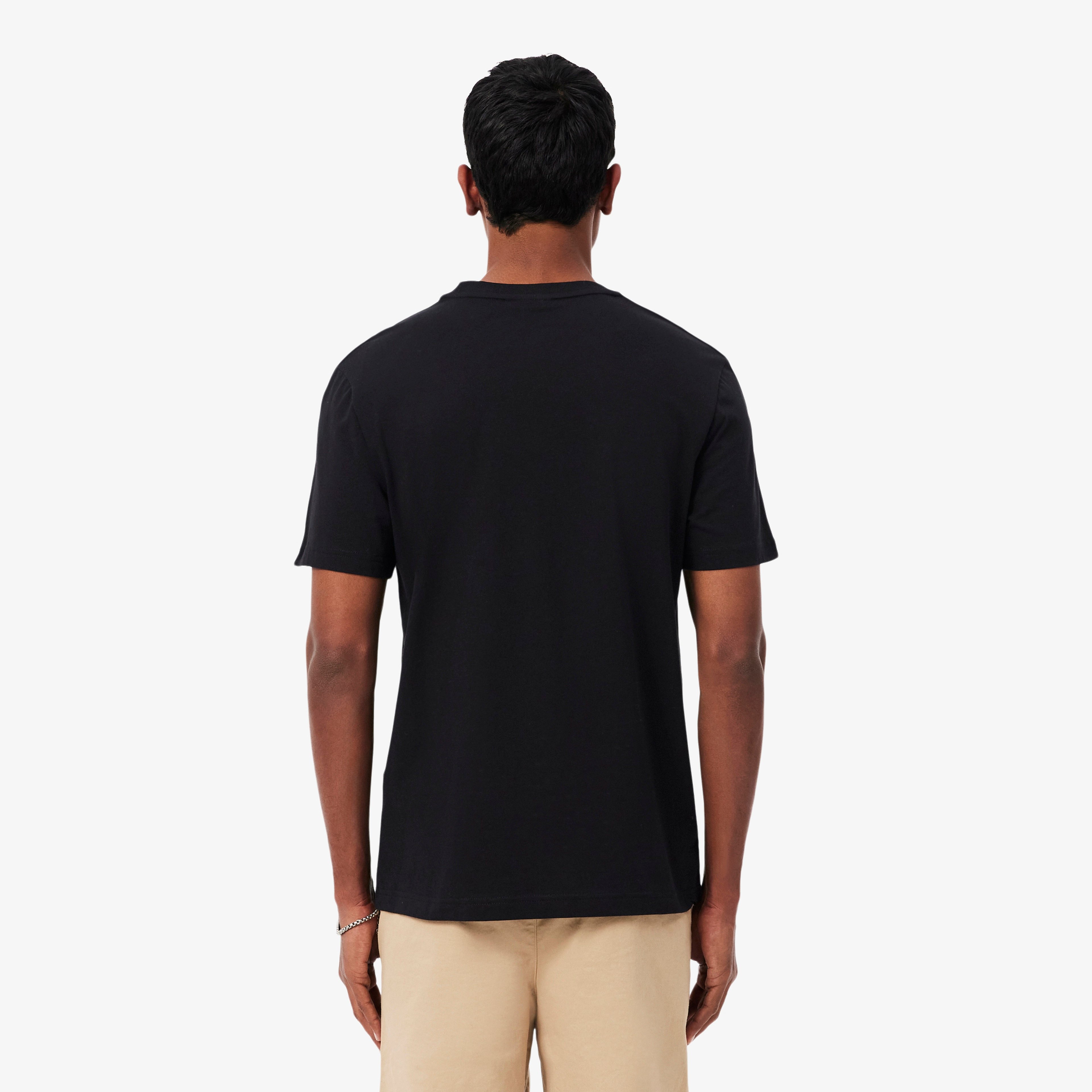 Erkek Regular Fit Bisiklet Yaka Siyah T-Shirt