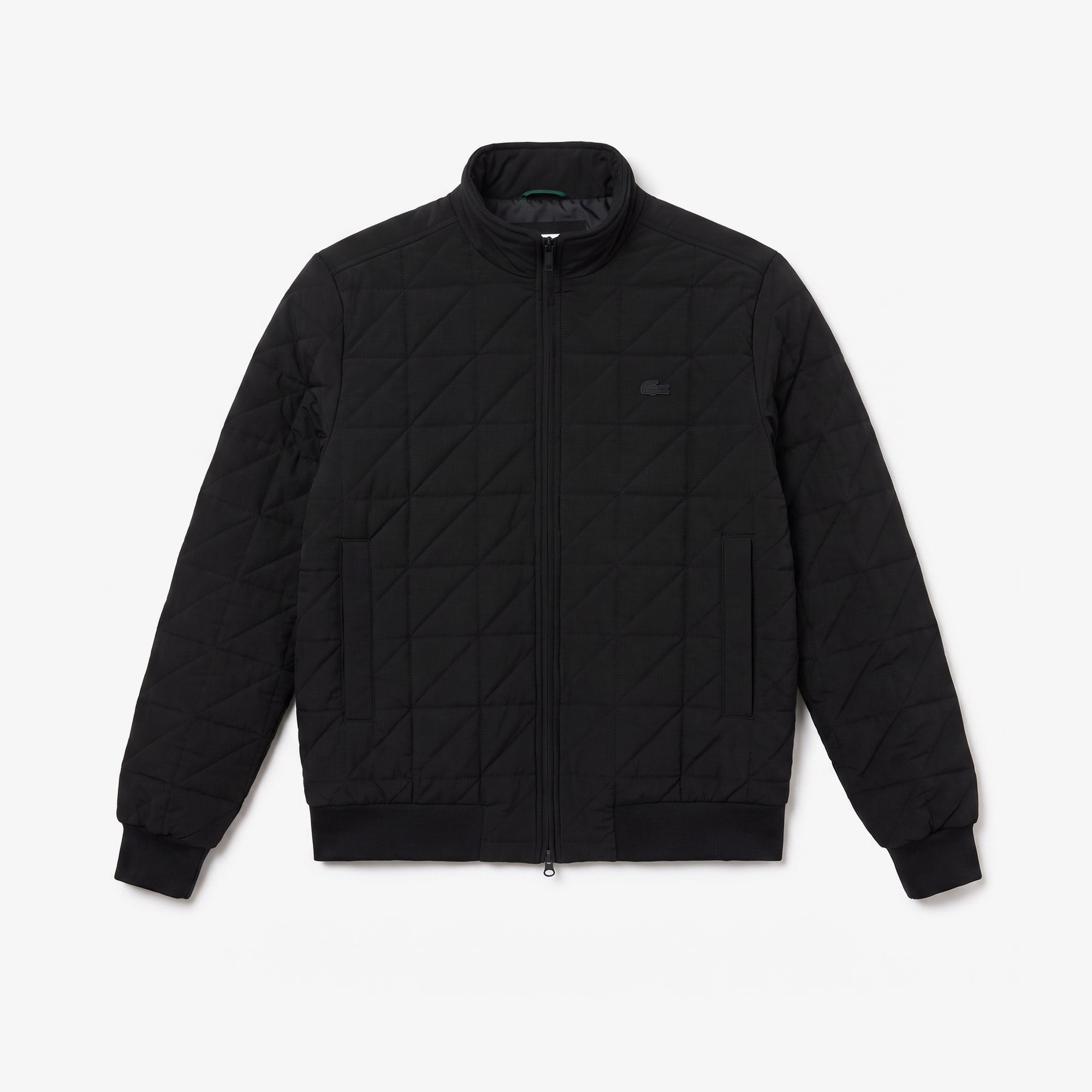 Erkek Regular Fit Dik Yaka Kapitone Siyah Mont